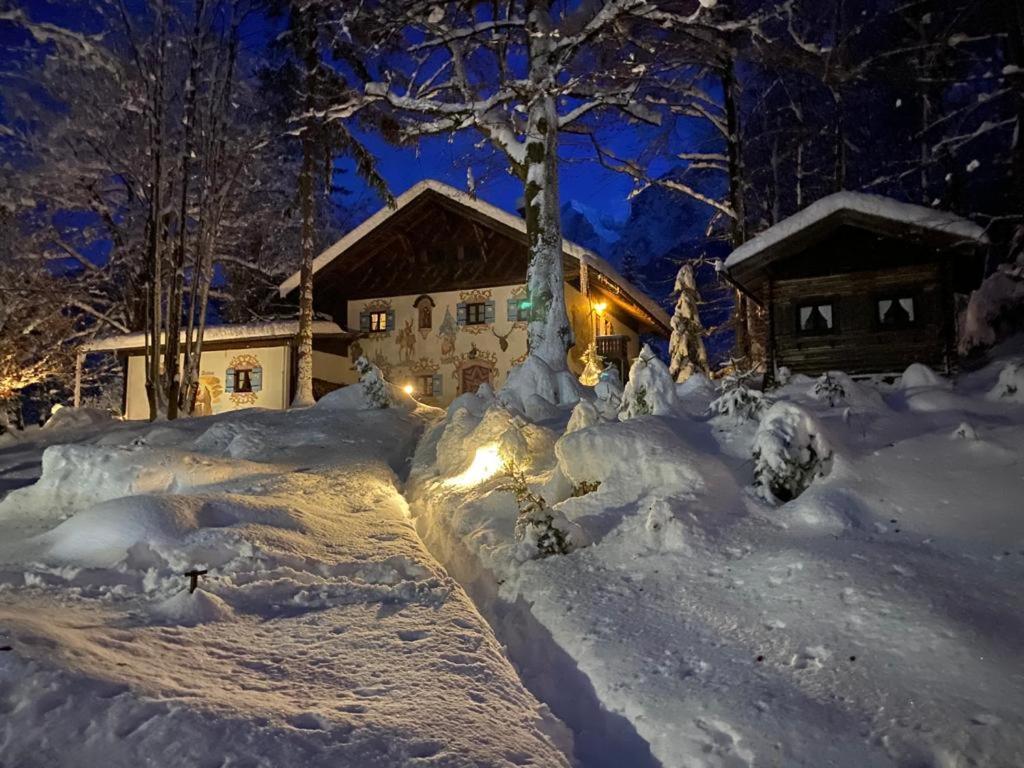 Photo 46