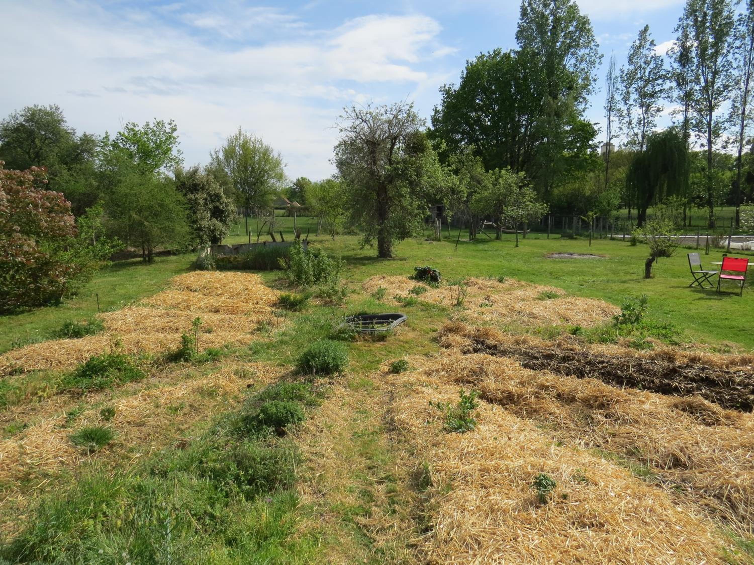 Photo 21