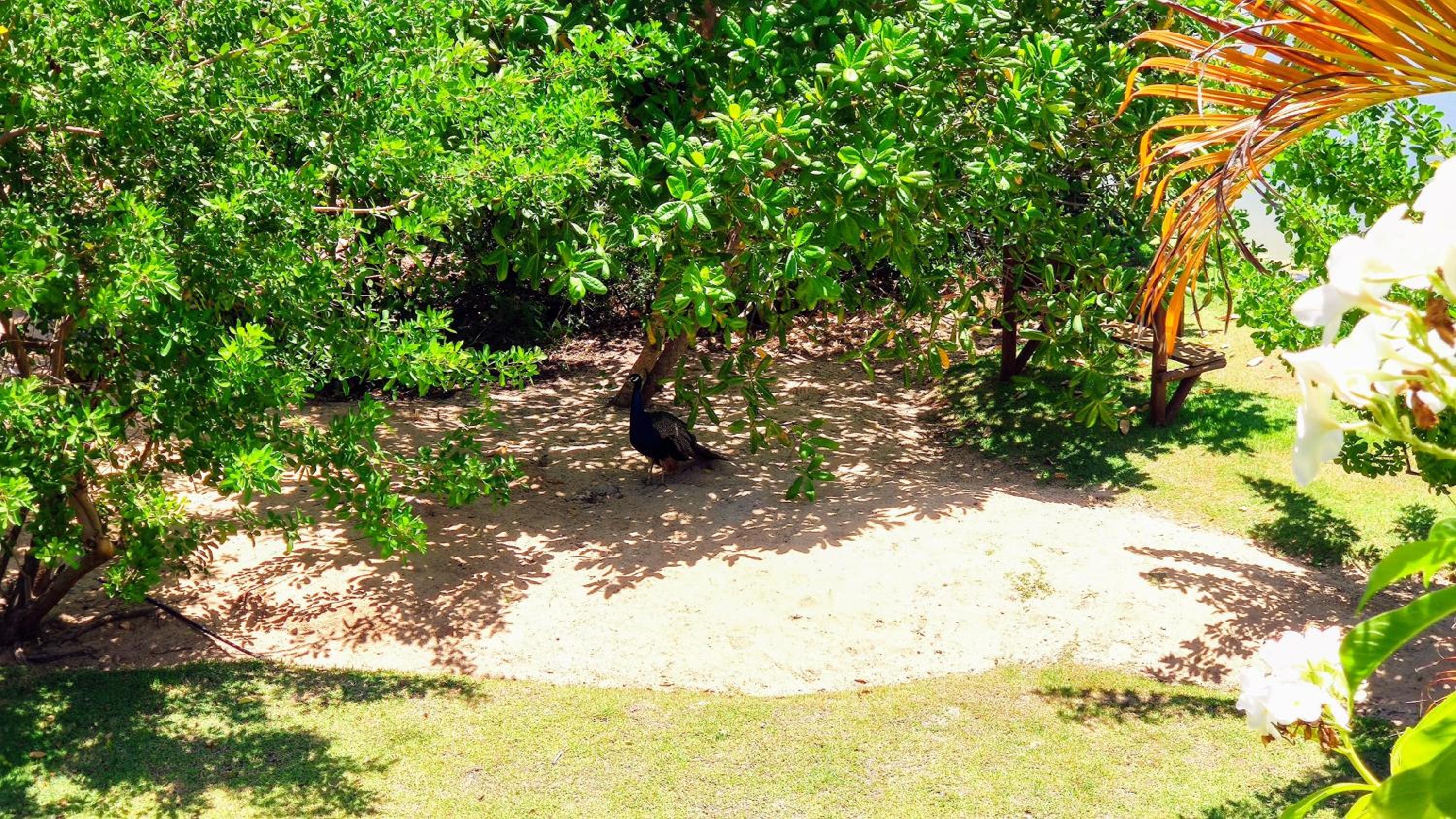 Piscinas Naturais de Praia do Forte