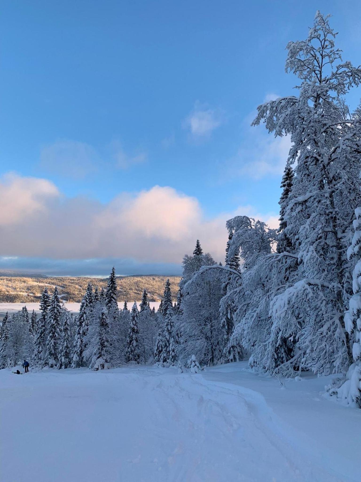 Åreskutans Mountain Lodge i Huså Lägenhet 03