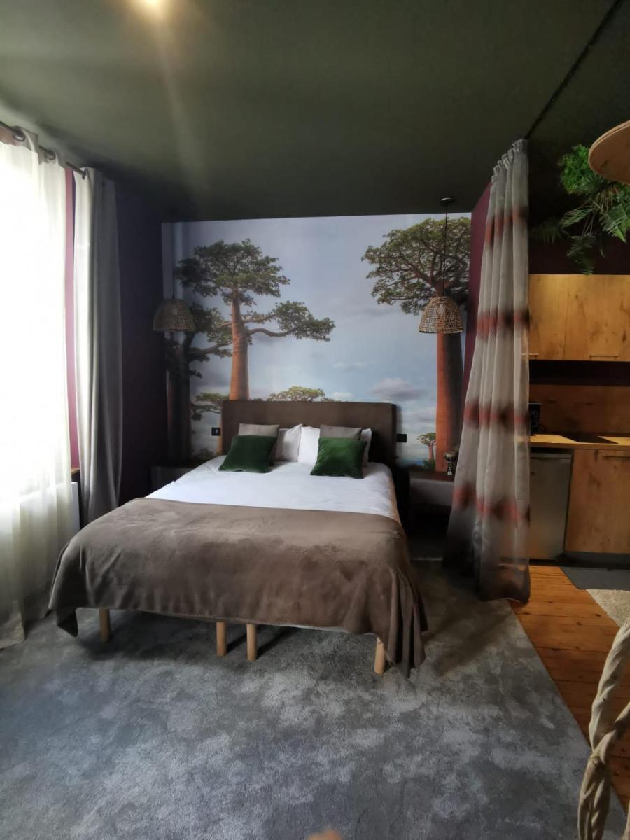 La Maison Saint Louis view 2