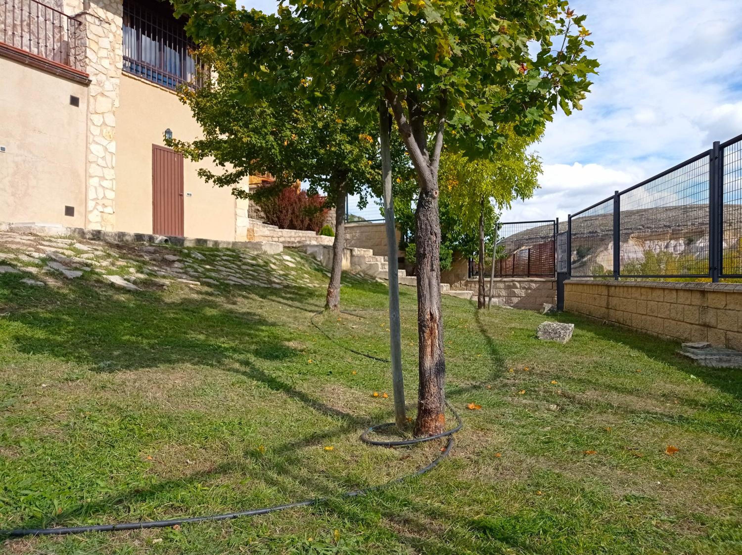 Photo 37