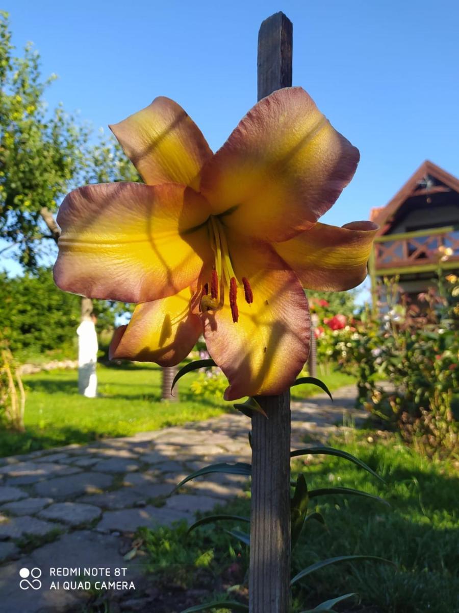 Photo 21