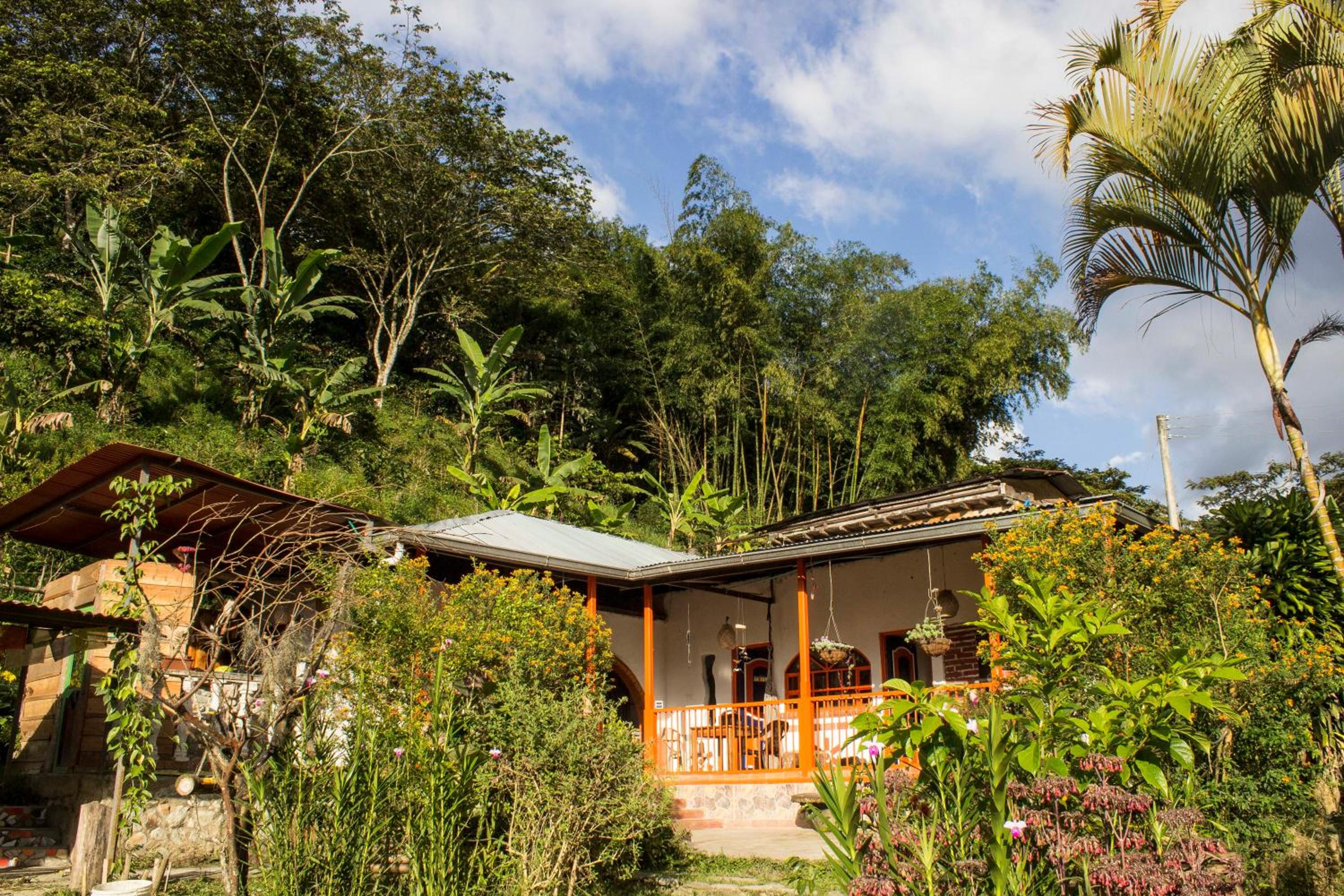 Habitación Las Bromelias, Pijao, Finca Flora del Rio