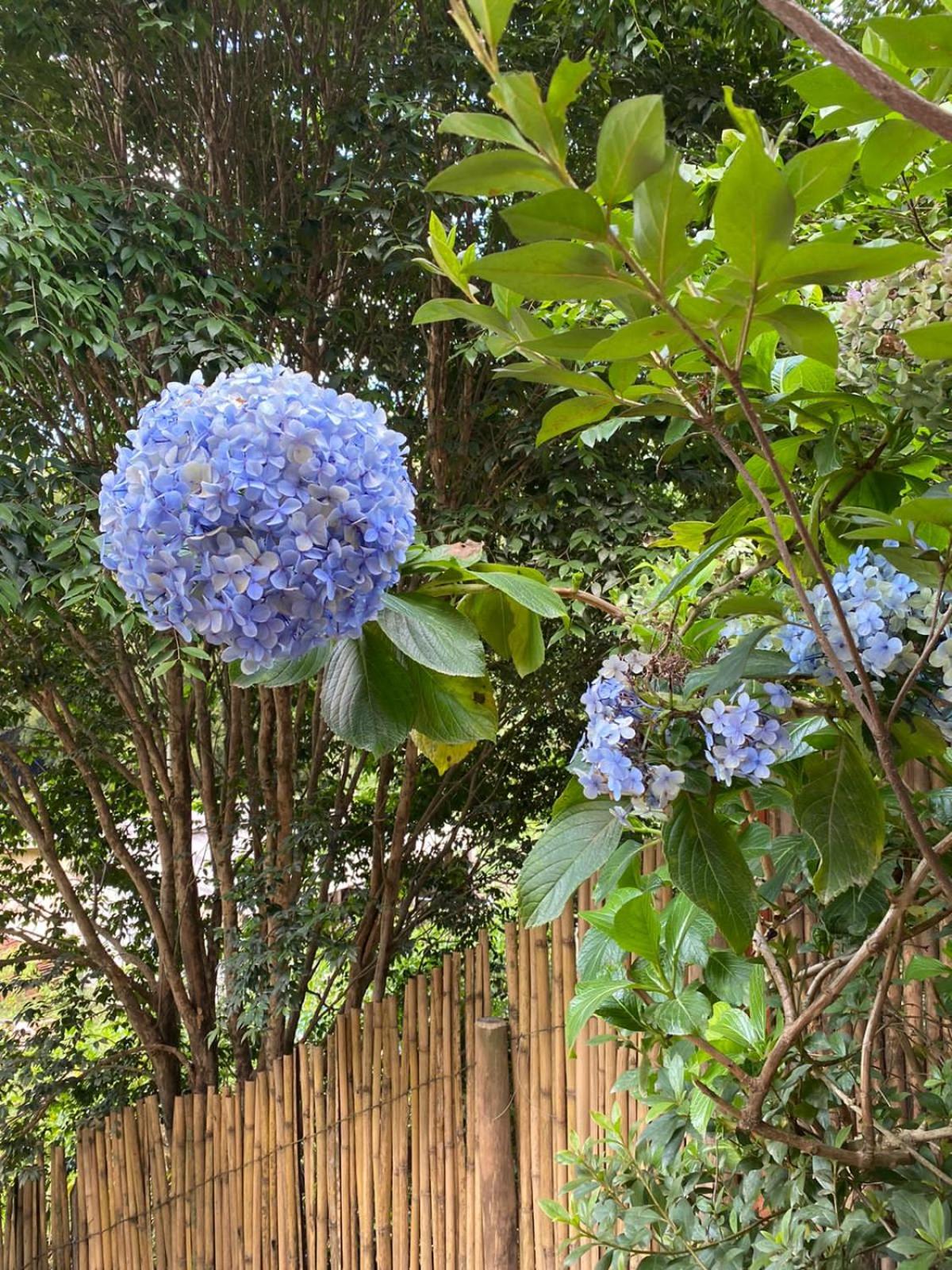 Chalé Filhos da Terra