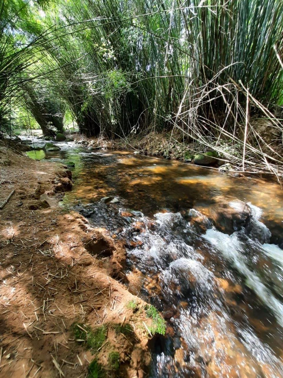 Chalé Filhos da Terra