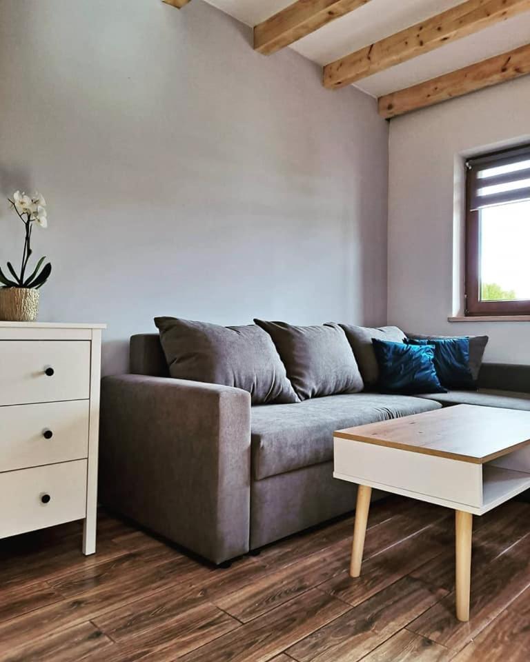 Domki w Bieszczadach - Apartamenty view 2