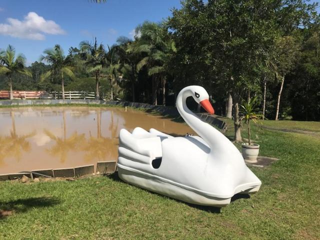 Lindo sítio com belíssima paisagem para descansar