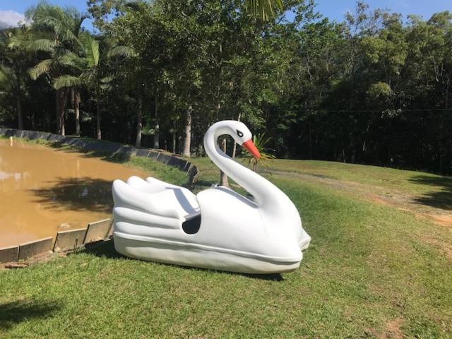 Lindo sítio com belíssima paisagem para descansar