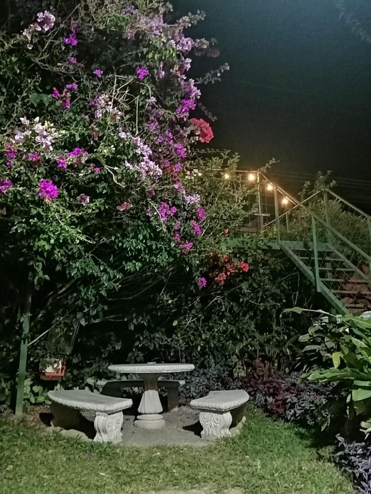 Pensión y Cabinas Colibrí B&B Costa Rica