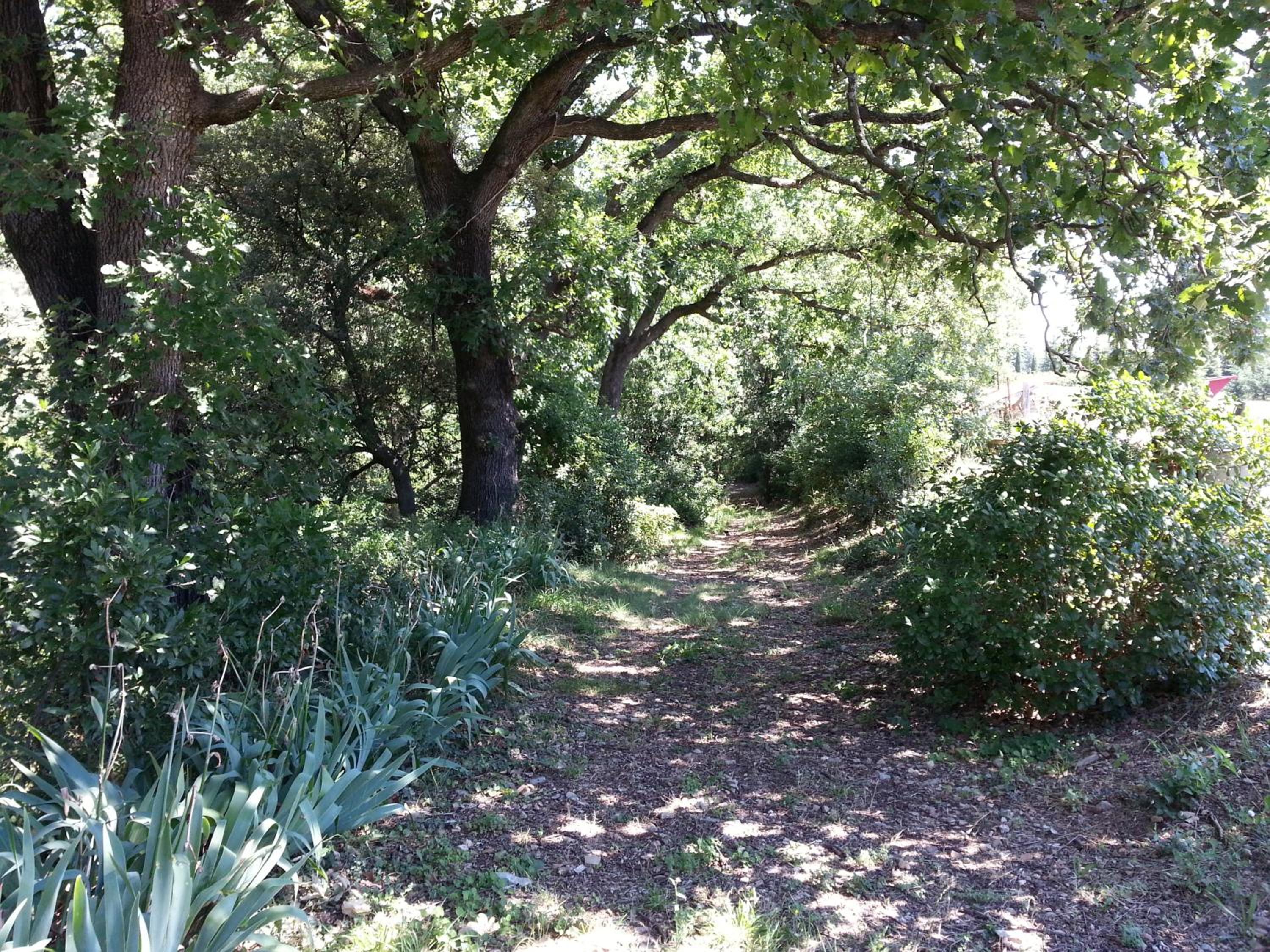 Domaine de Rochebelle