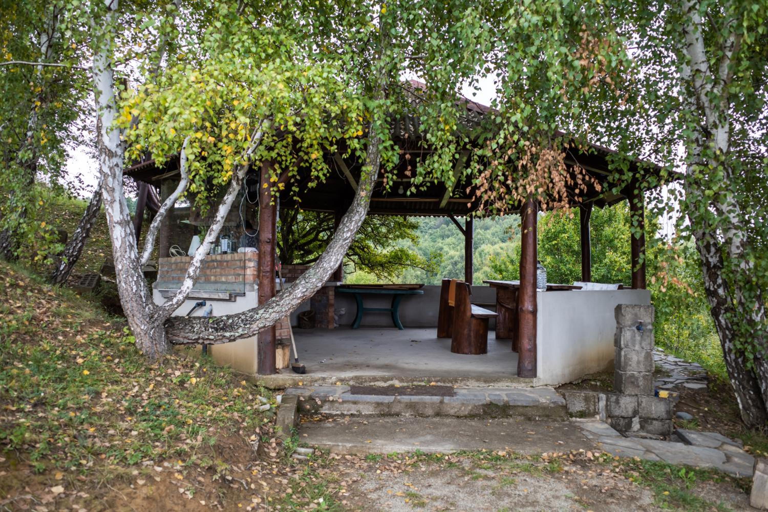 Cabana din Dealul Cucului view 5