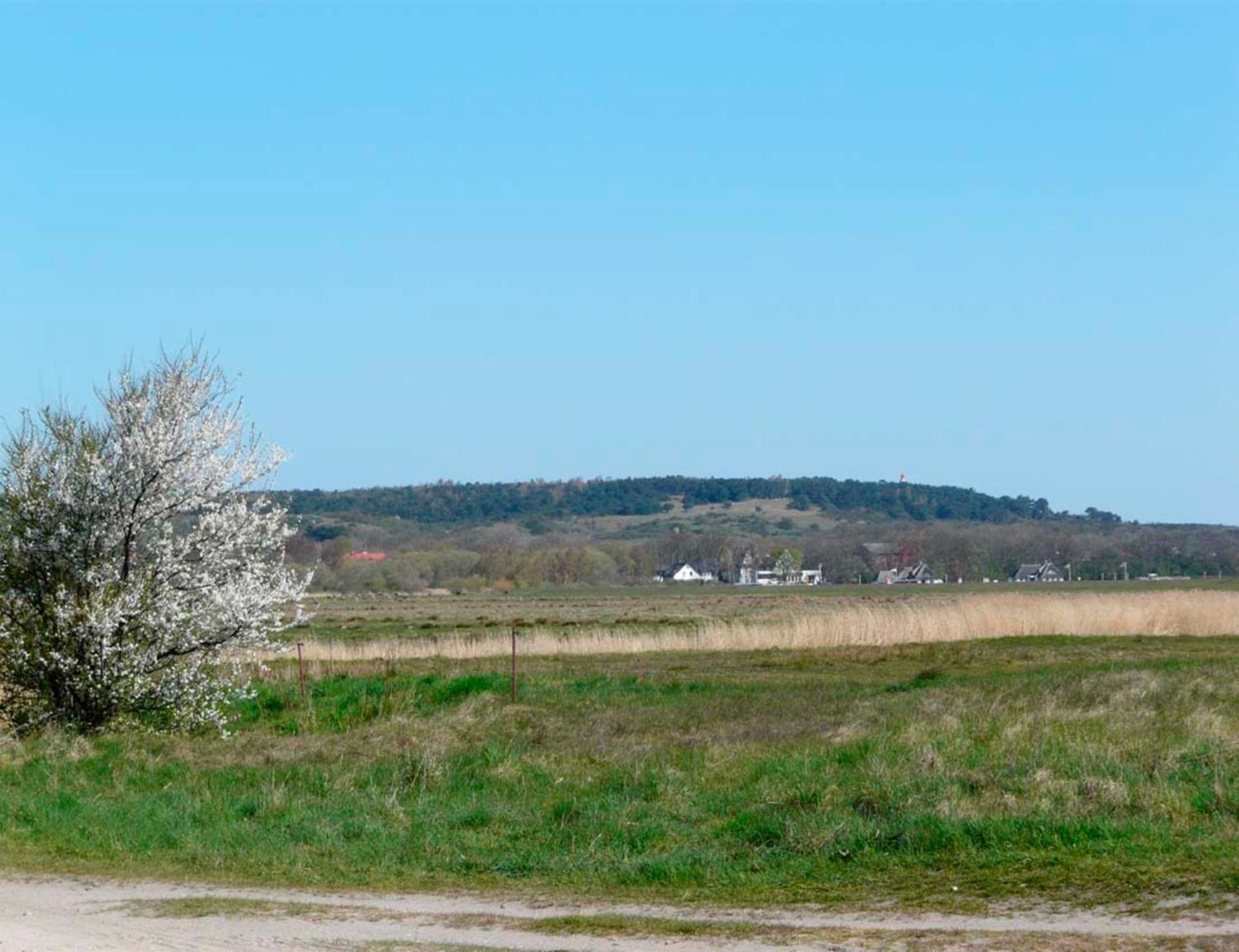 Ferienwohnung Tor zur Ostsee - a55965