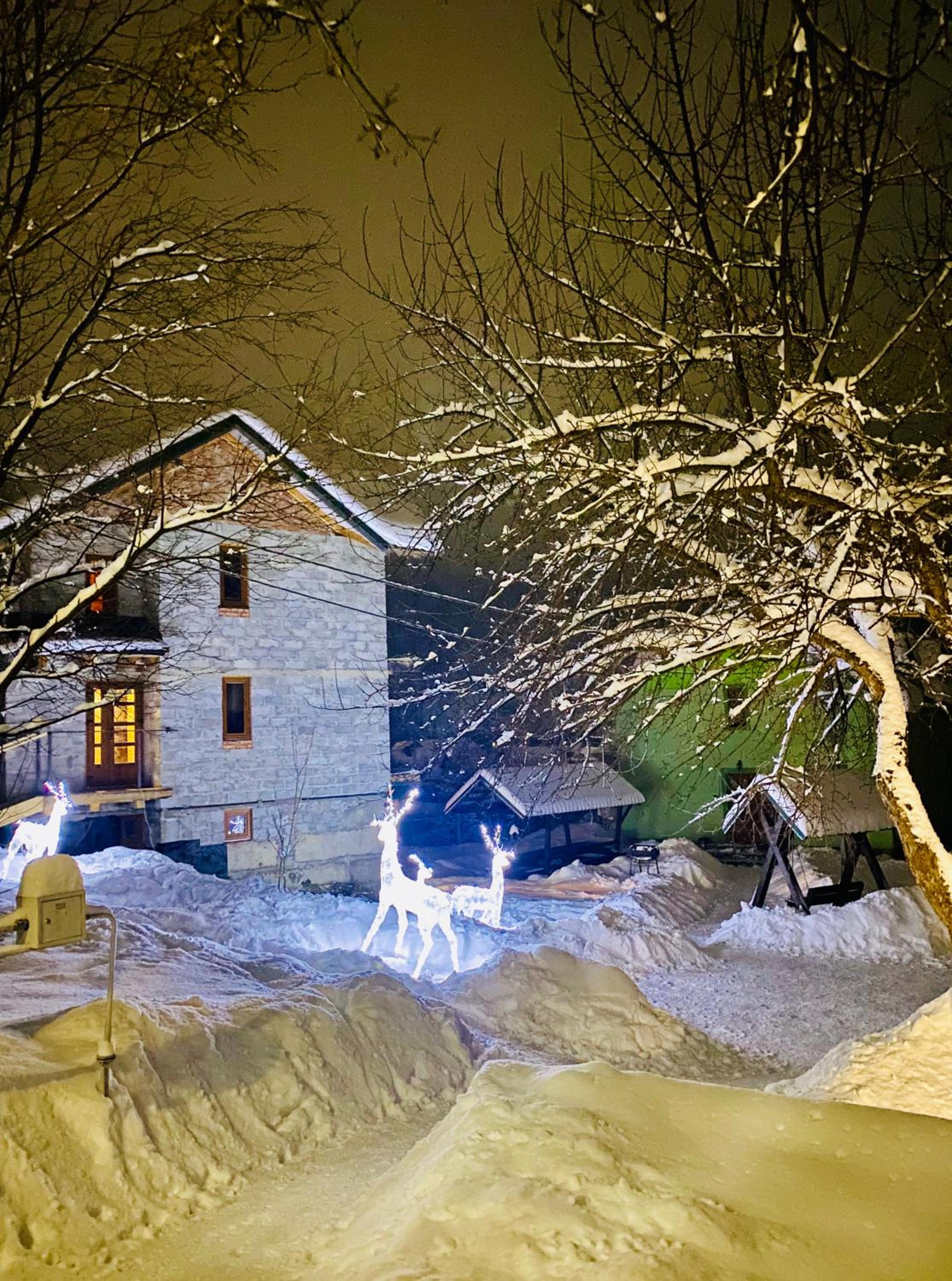 Photo 6