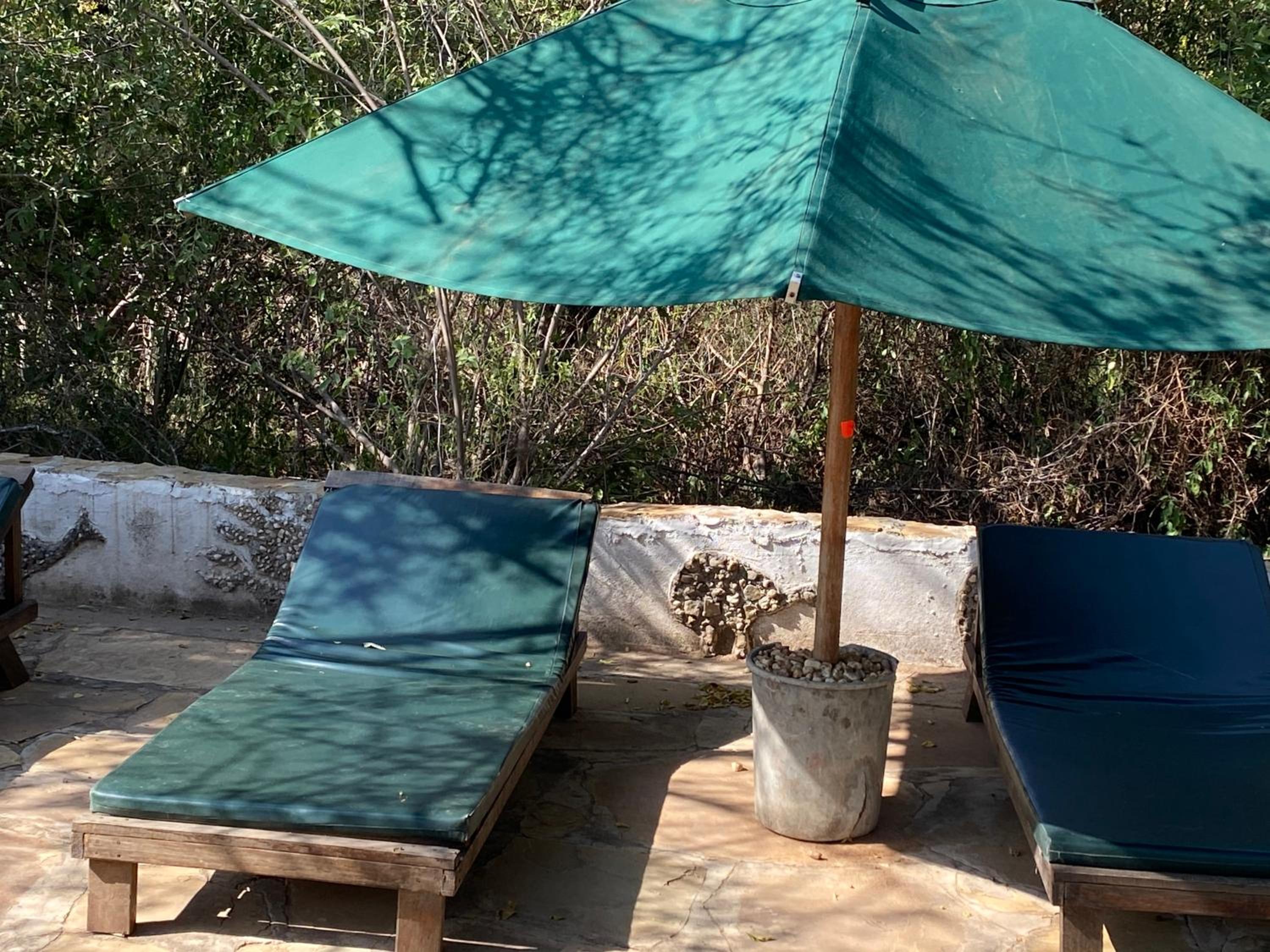 Maasai Simba Camp
