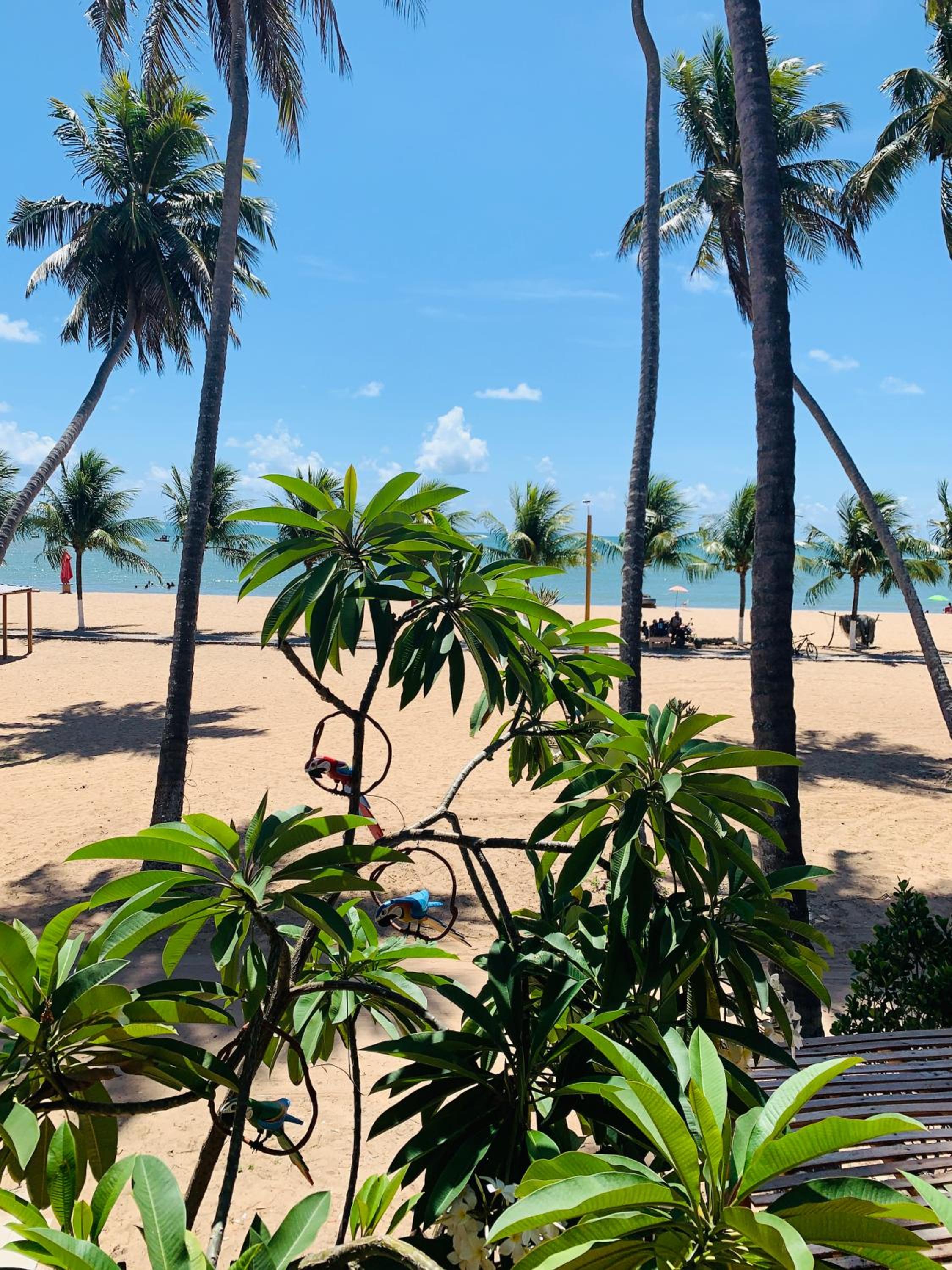 Suíte frente mar e pés na areia