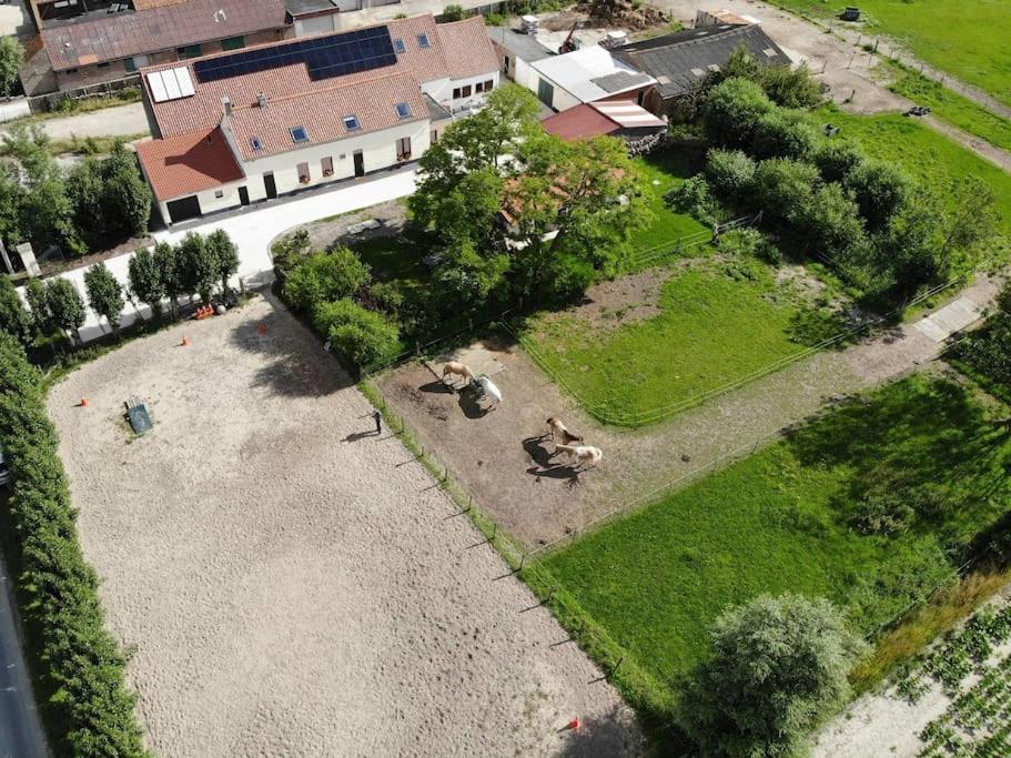 Hoeve Korenzegen. Oase van rust dichtbij strand