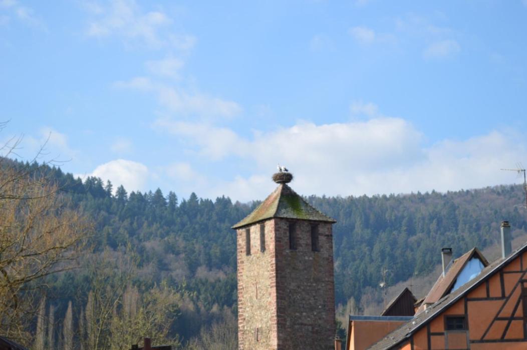 Coeur d'alsace