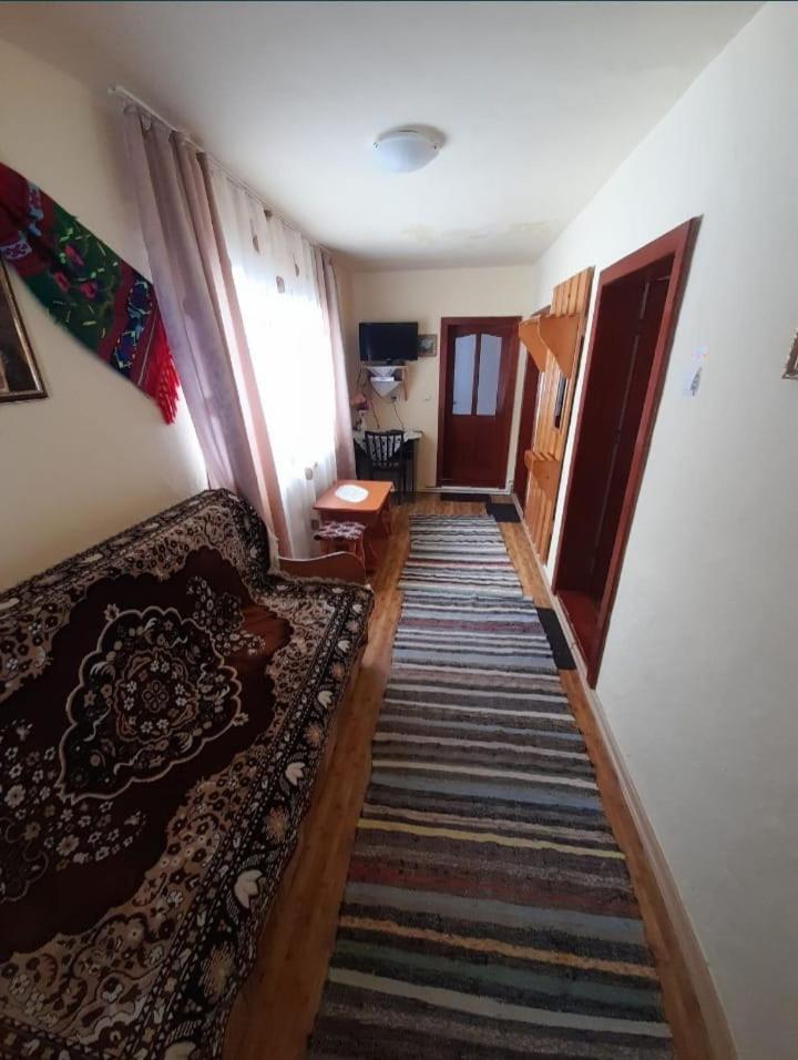 Casa Ghețari view 2