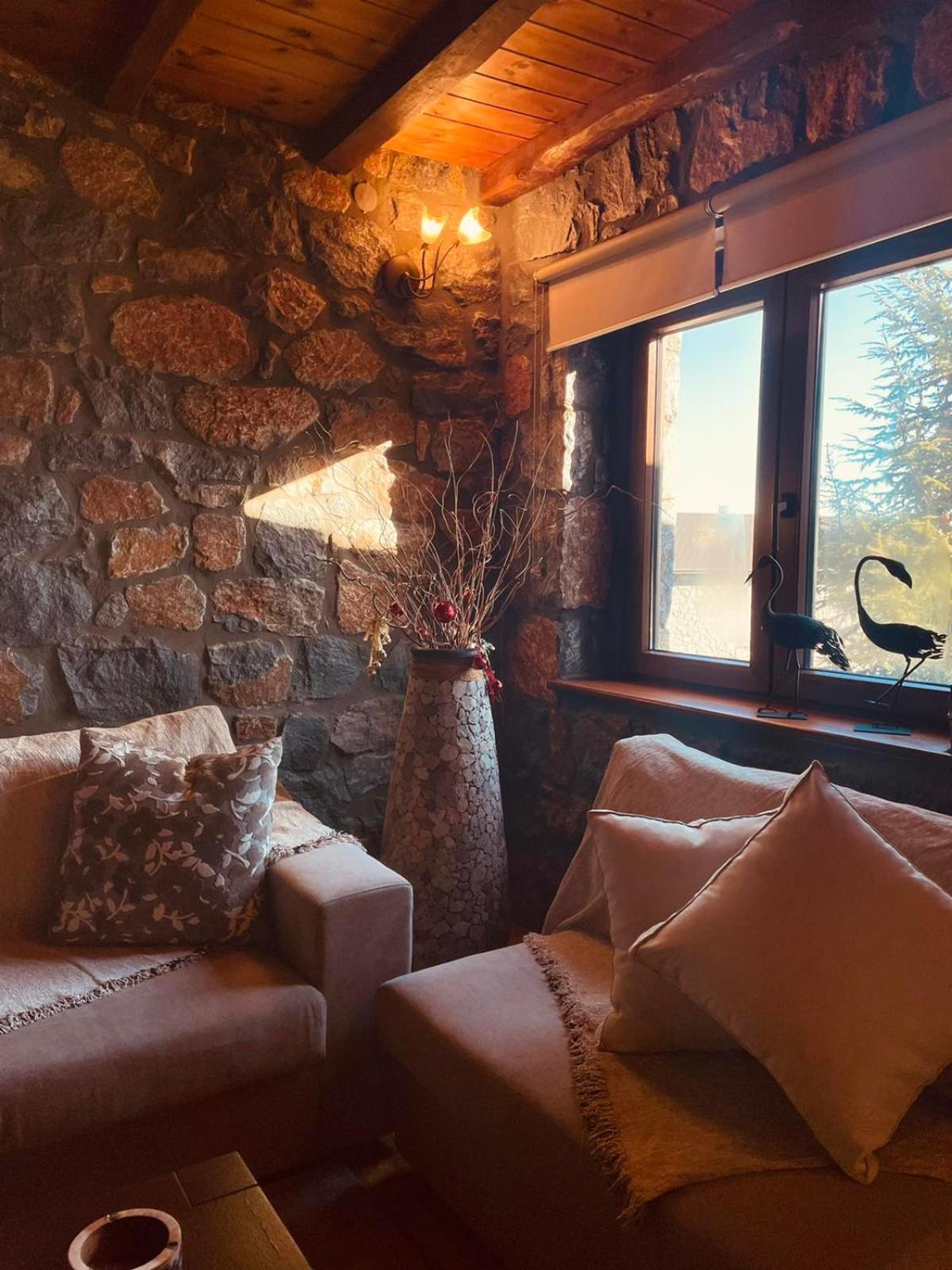 Chalet D'elite view 5