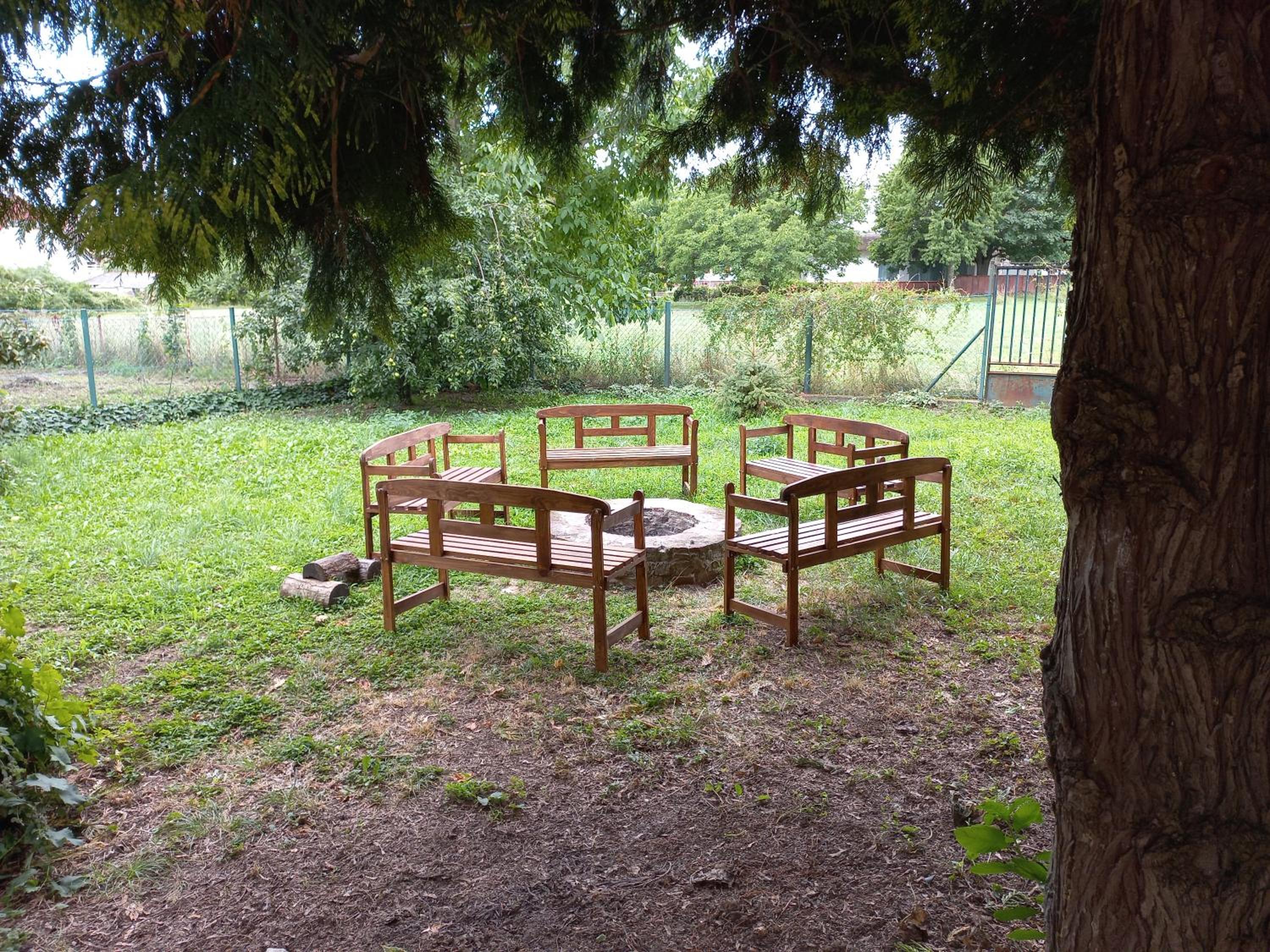 Photo 6