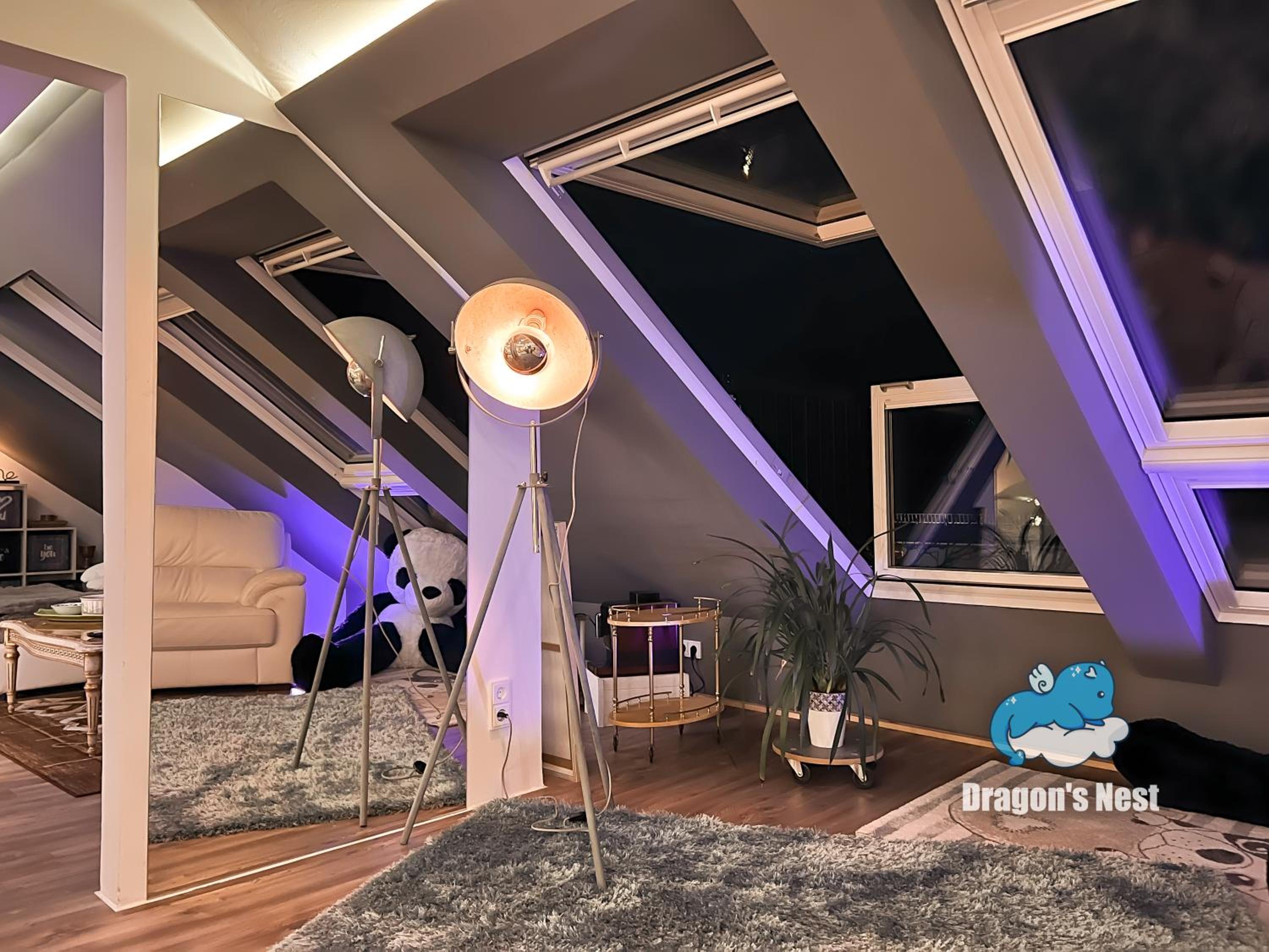 Hotel Dragon'S Nest: Cozy & Modern Attic Loft Nuremberg