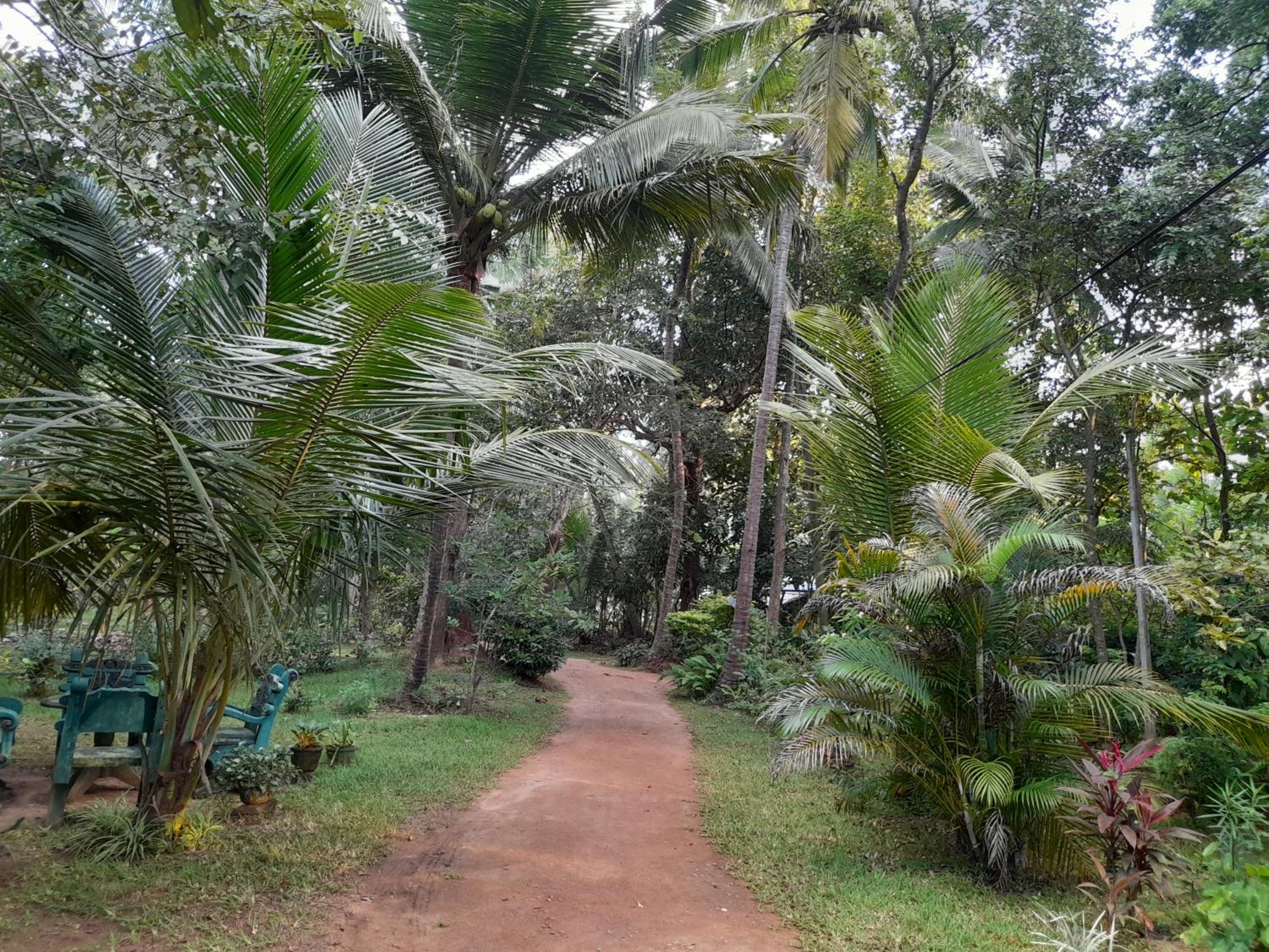 Sigiri Lodge
