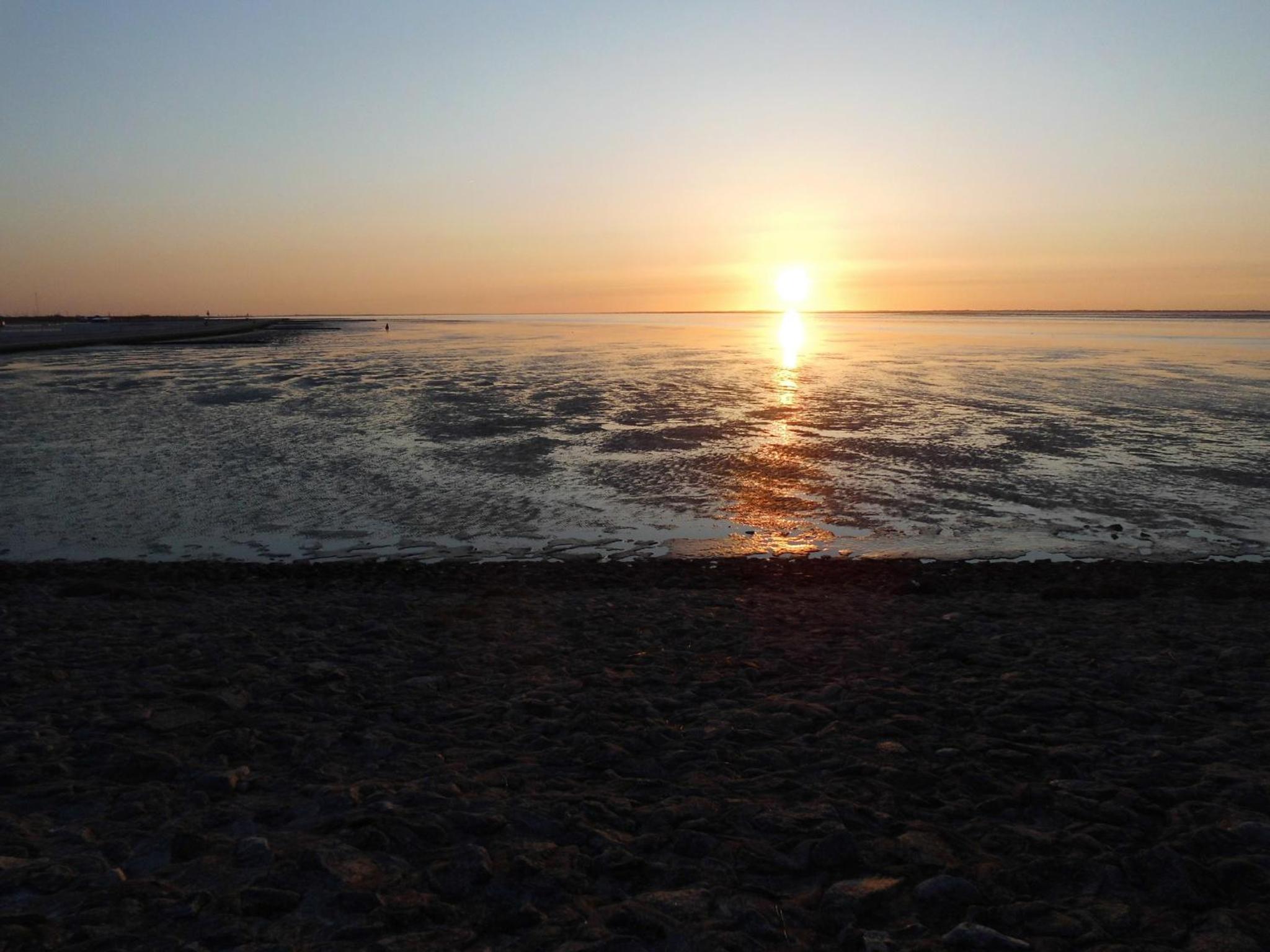 Möwennest