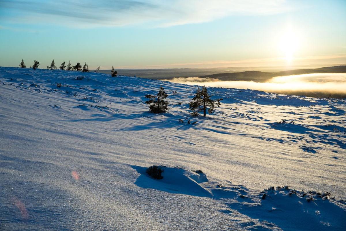Ylläs with a view view 3