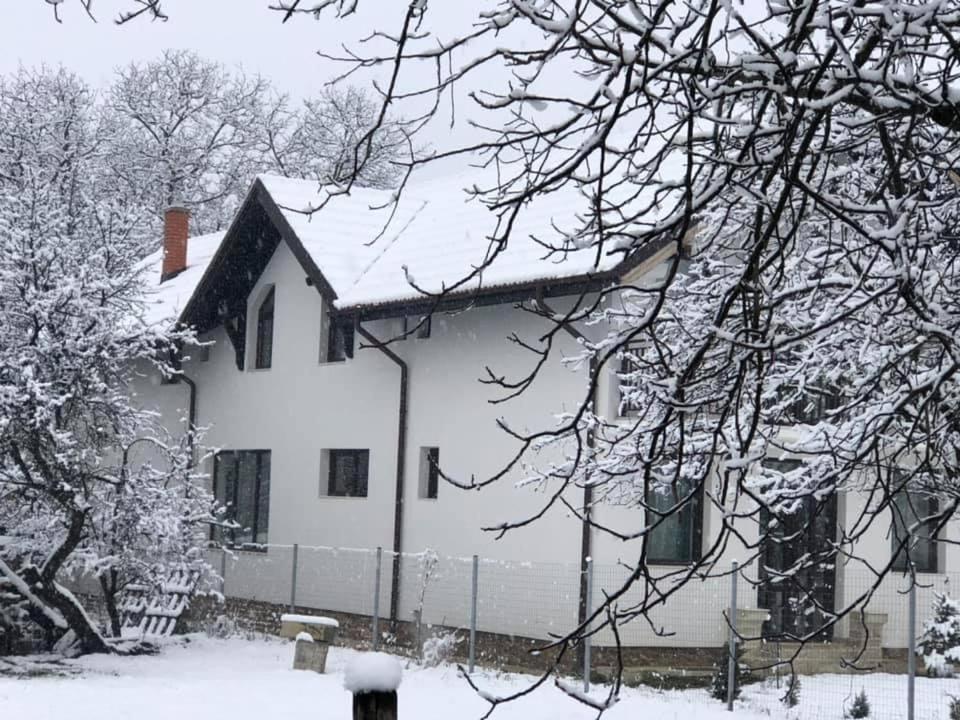 Pensiunea Crețișoara view 5