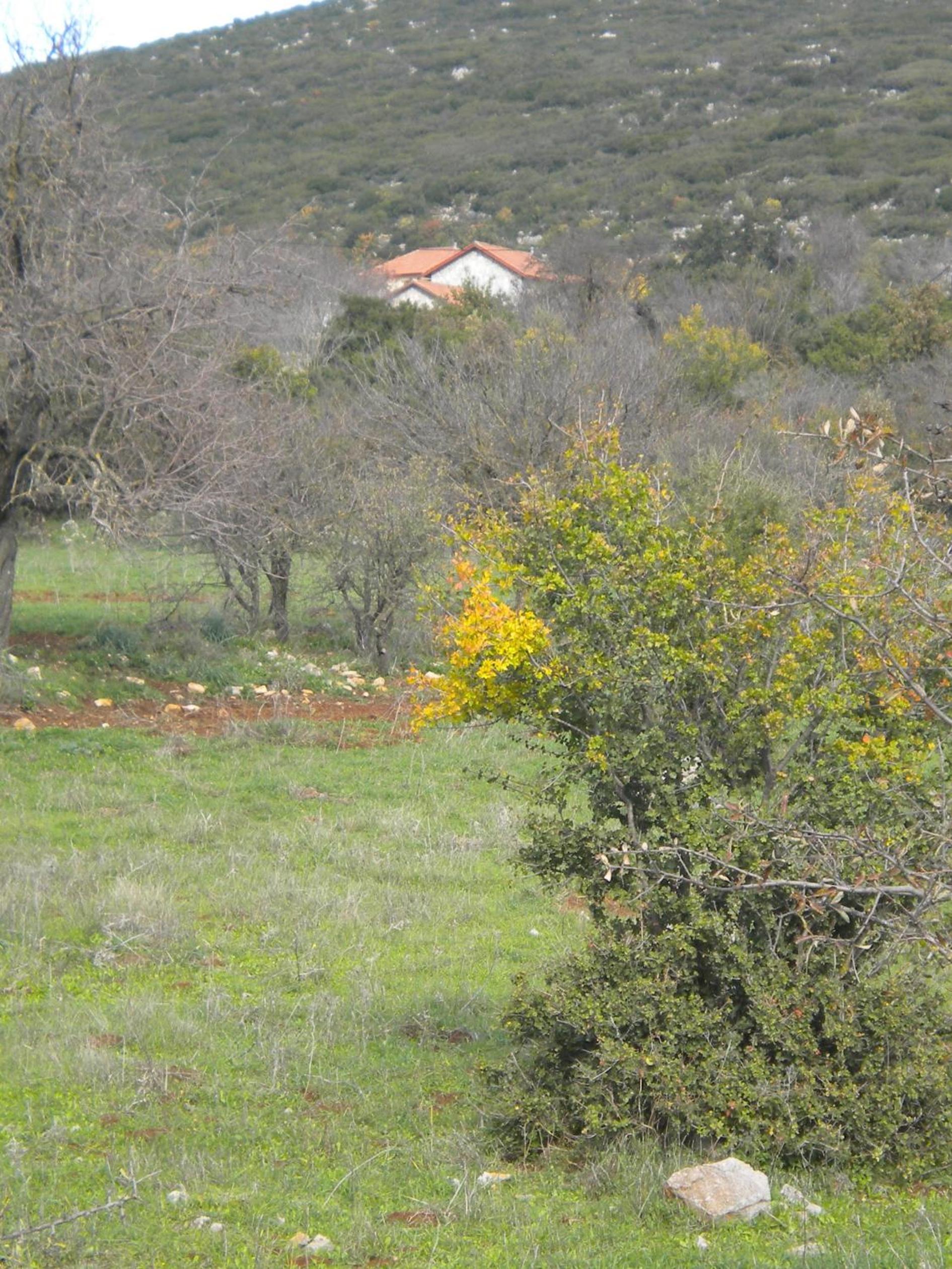Amygdalia, a Stone House in a quiet landscape view 5