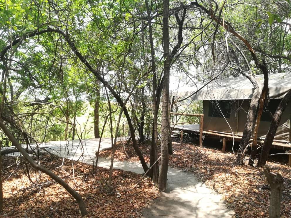 ASKIESBOS - Samochima Bush Camp