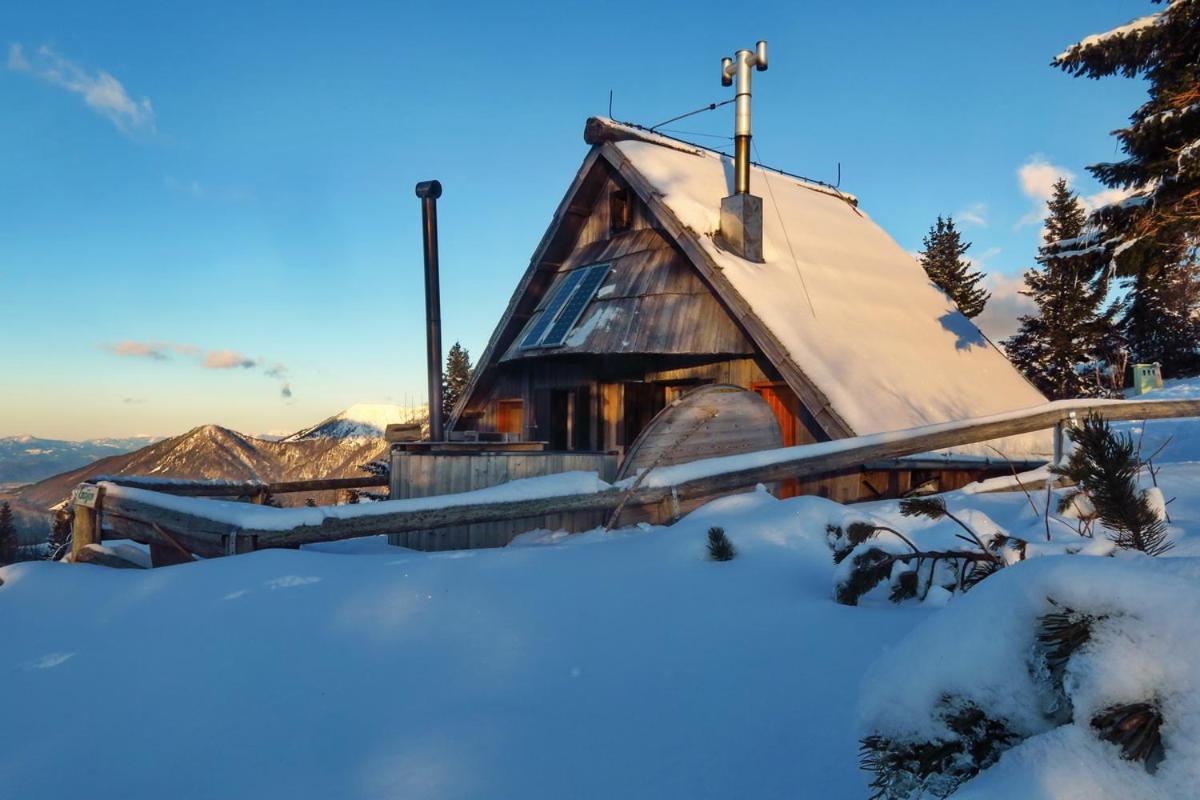 Chalet Encijan - Velika planina view 4
