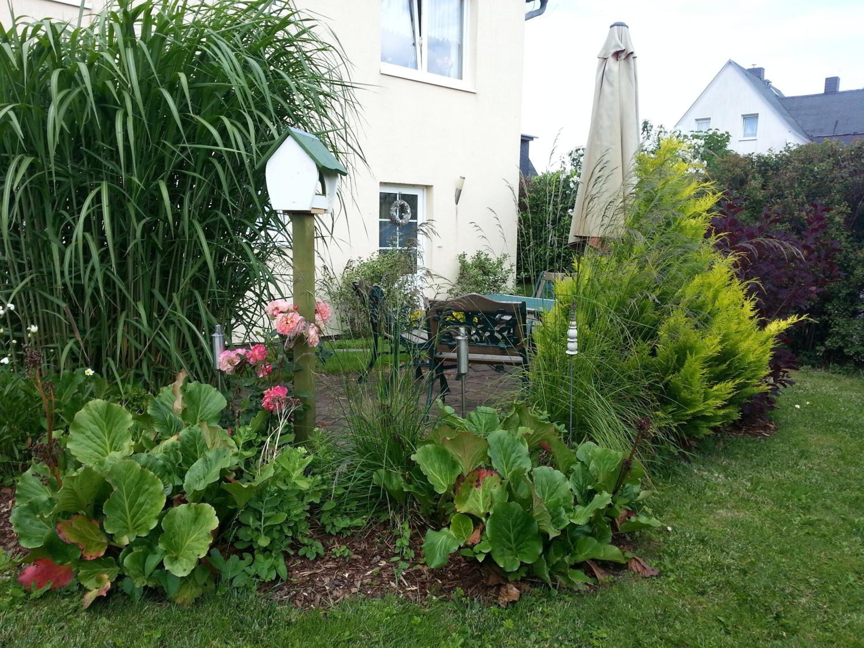 Photo 37