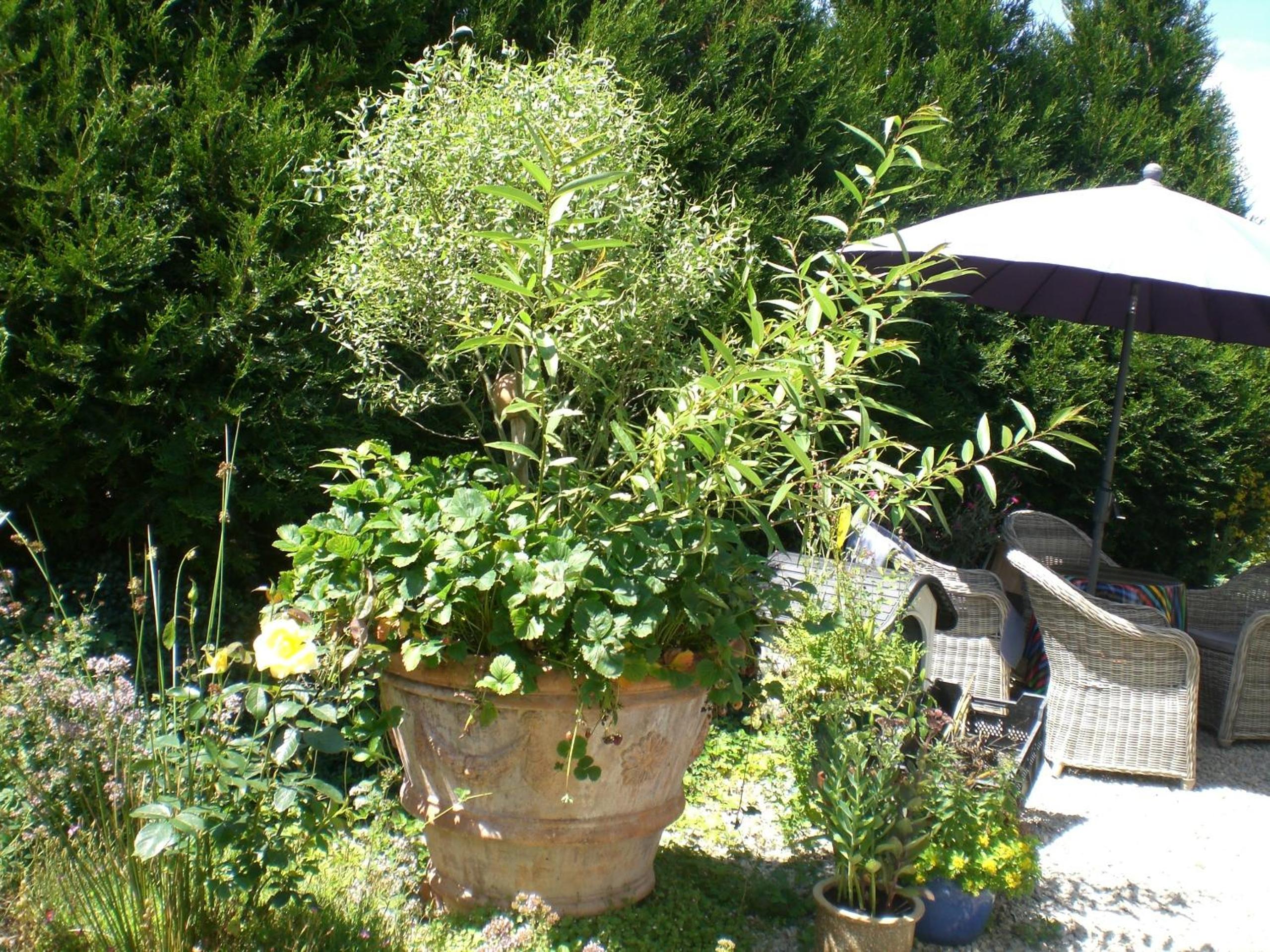 Photo 12
