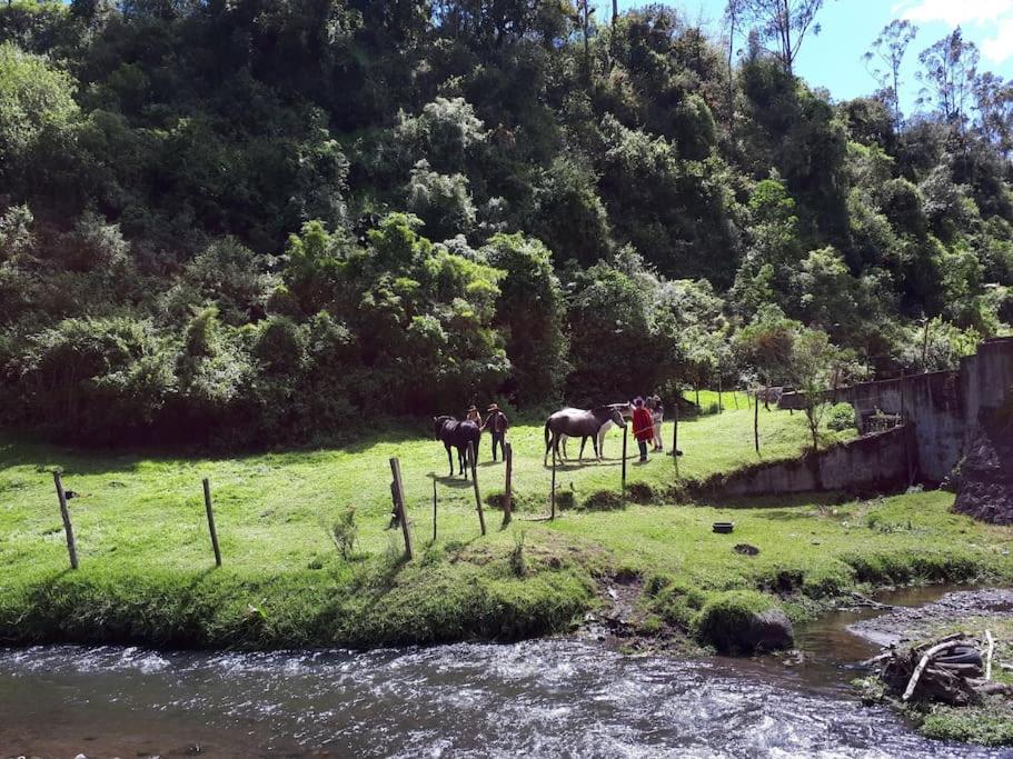 Häuschen nahe Cotopaxi-House near Cotopaxi, photo 19