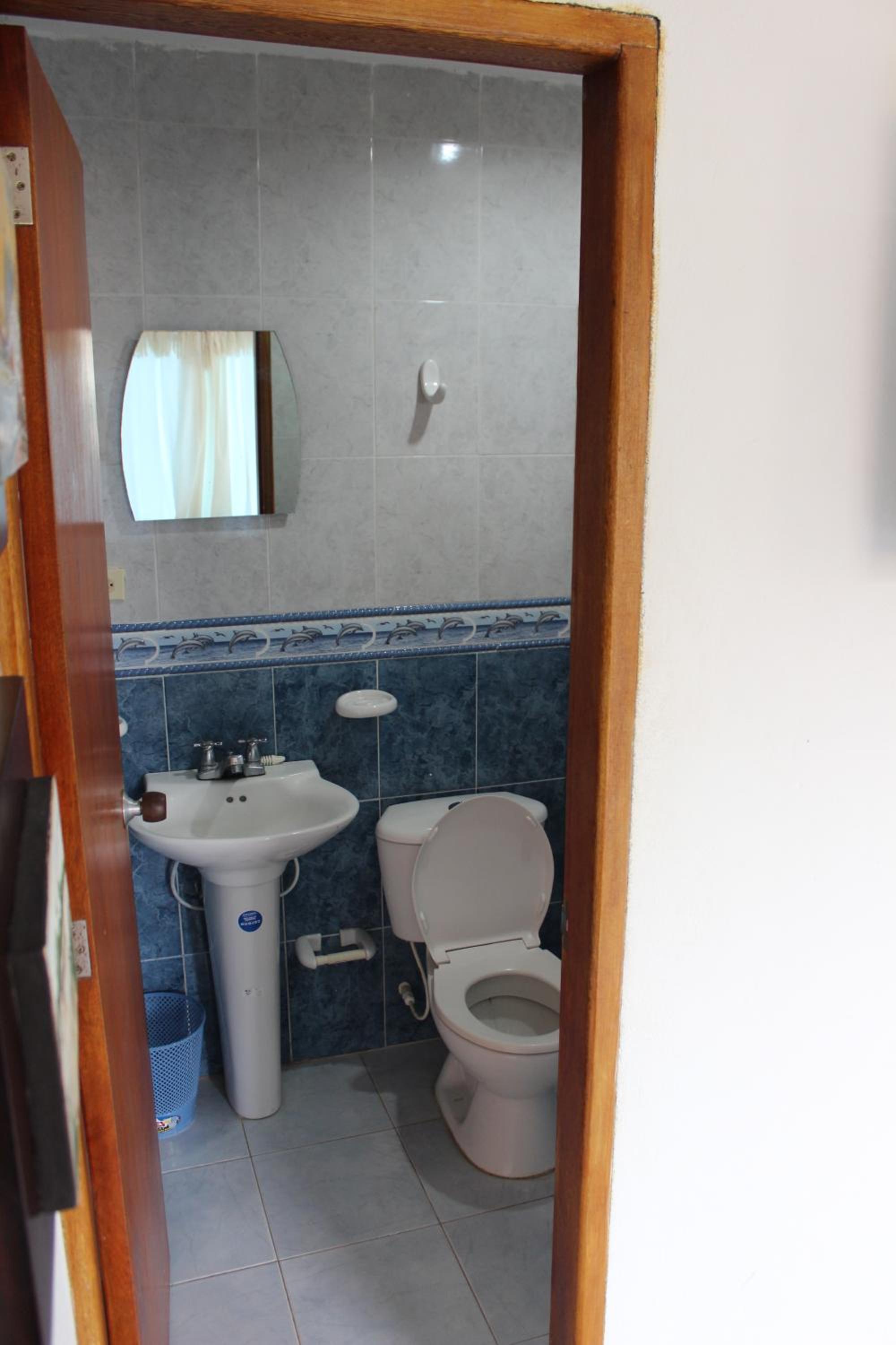 Photo 16