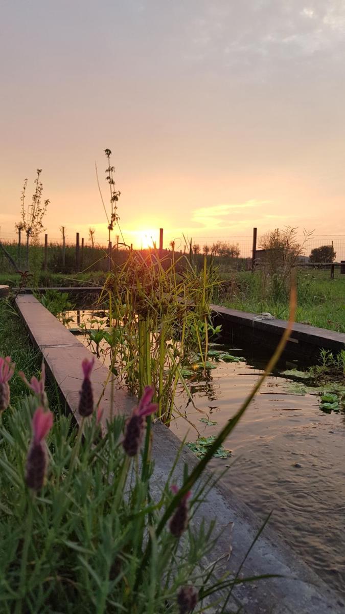 De Wabisabiboerderij