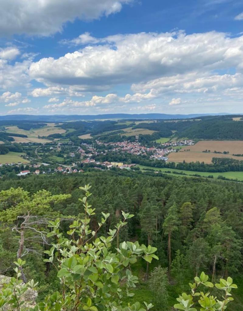 Ferienwohnung am Tor zum Thüringer Wald view 5