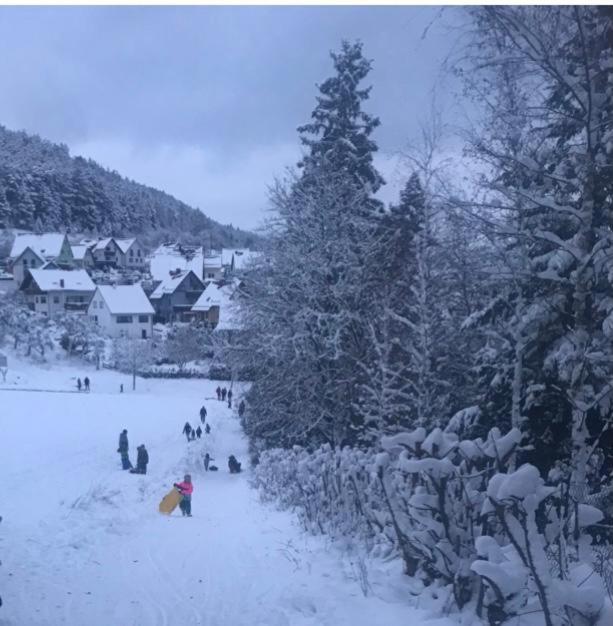 Ferienwohnung am Tor zum Thüringer Wald view 4
