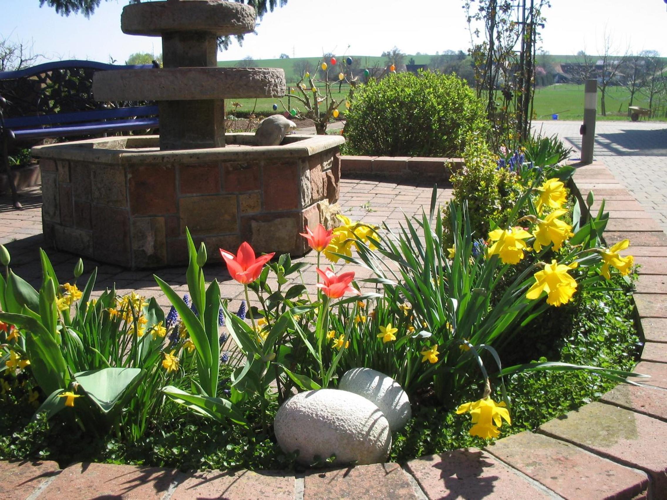Ferienwohnungen Eichenhof