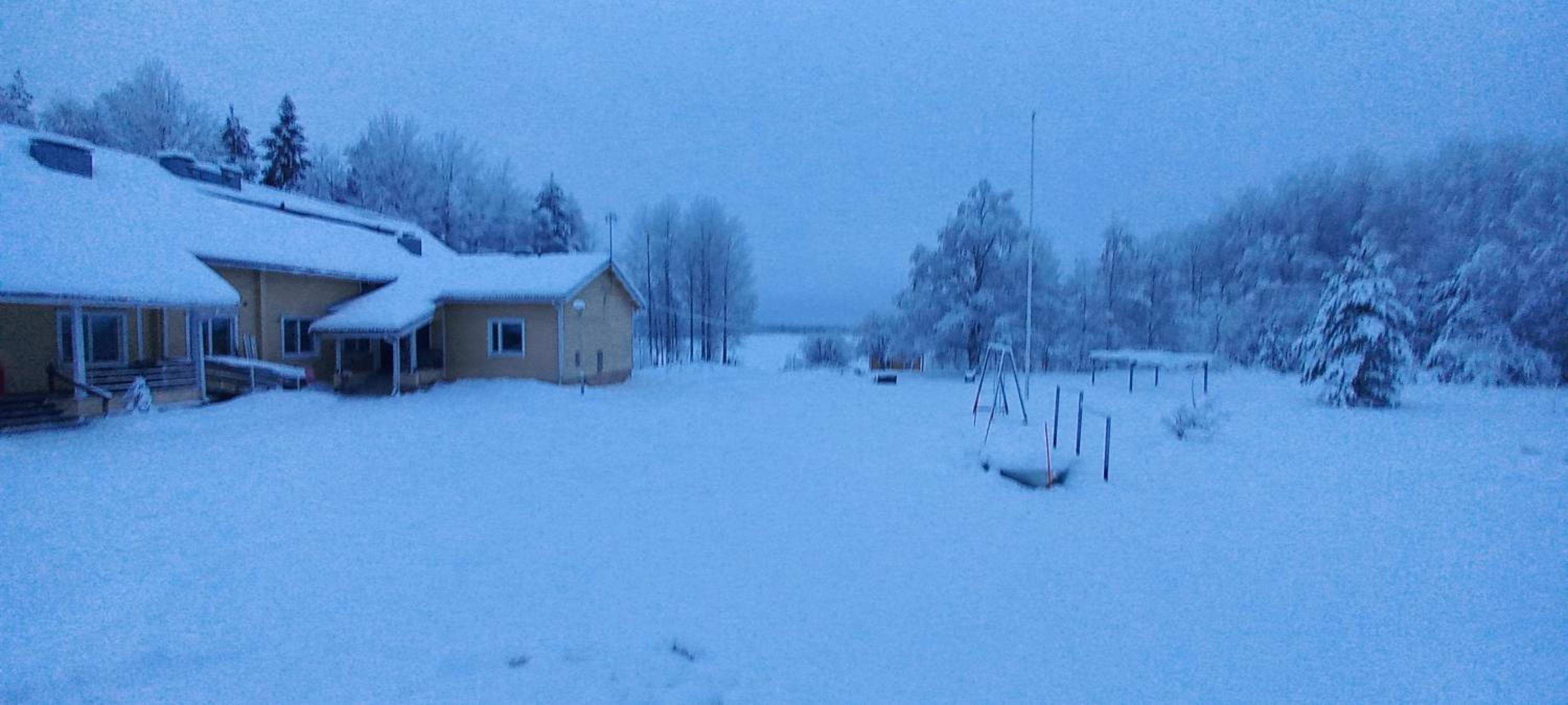 Photo 11