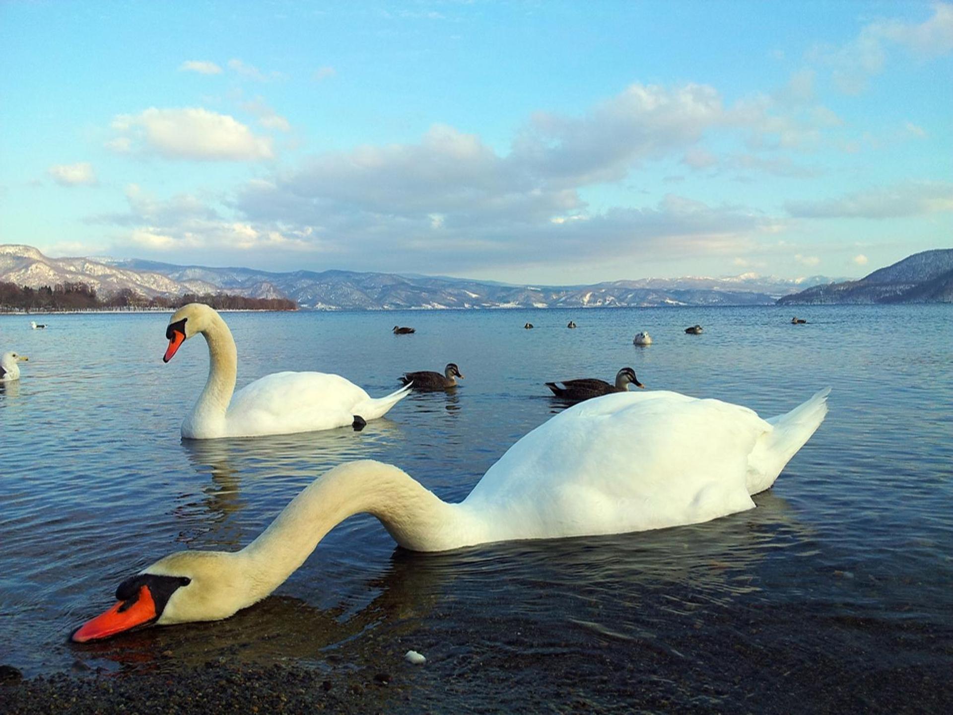 Lakehouse At Toyako