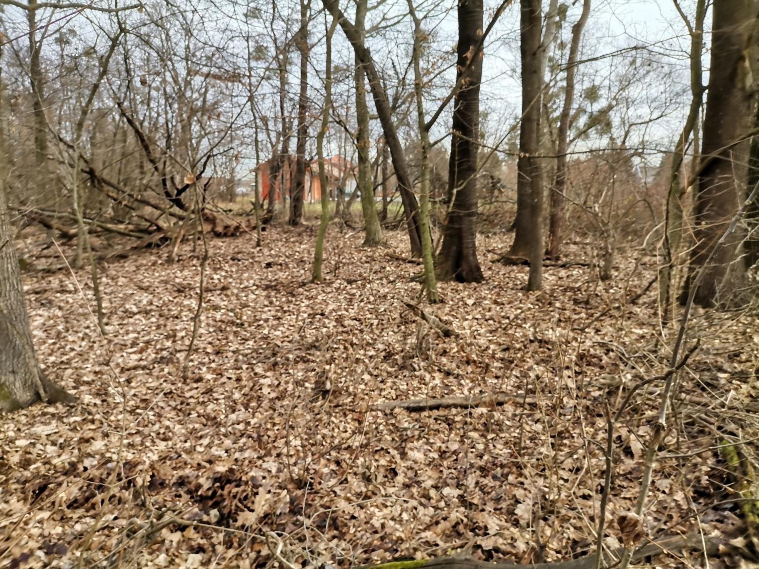 Photo 49