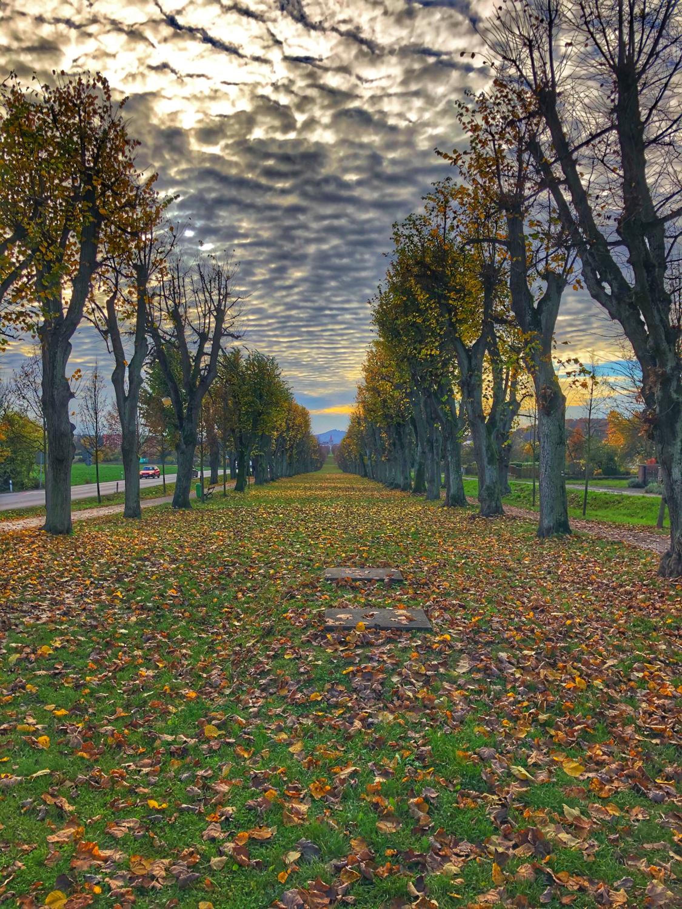 Photo 44