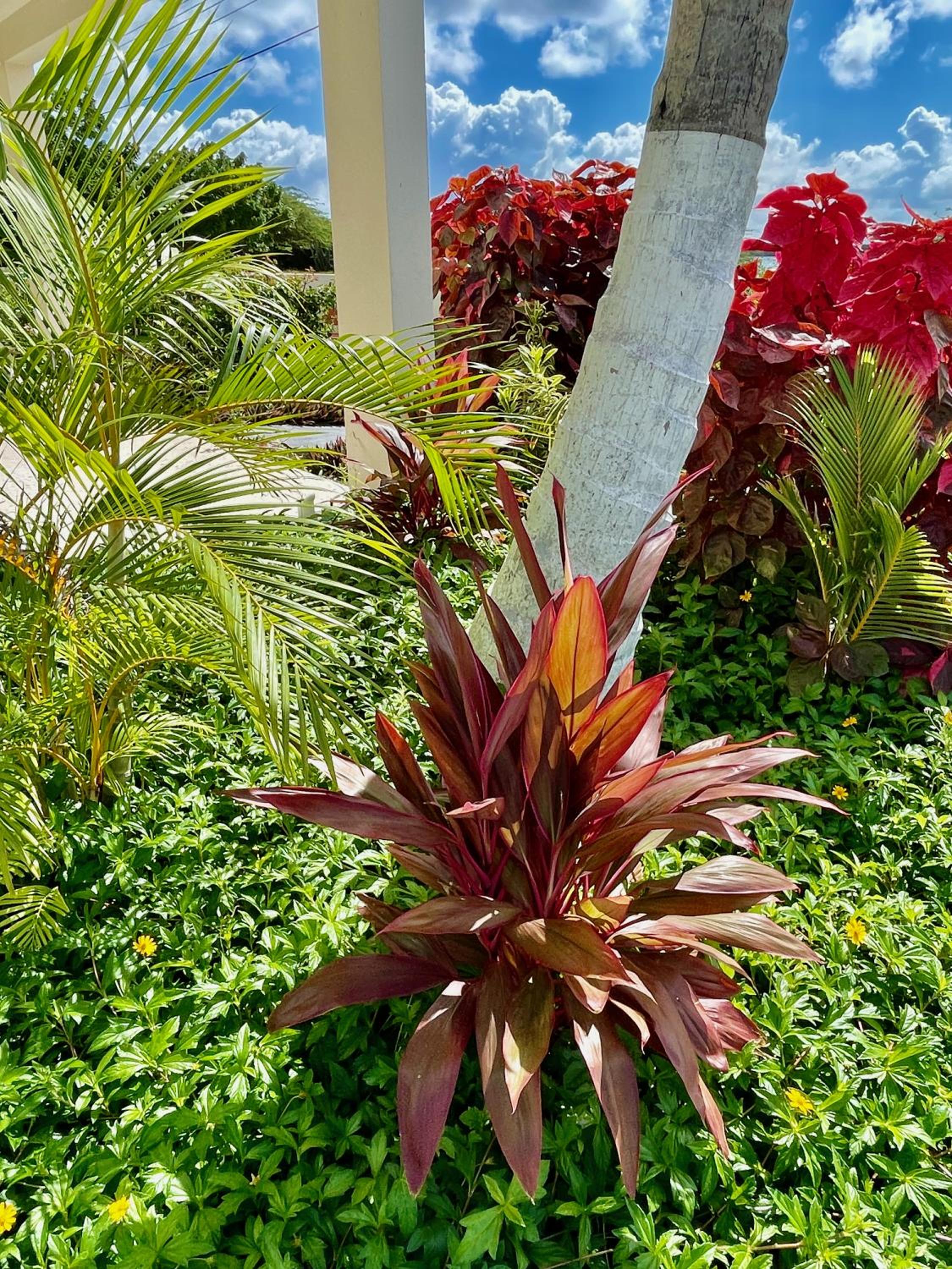 Vistalmar Ocean Suites