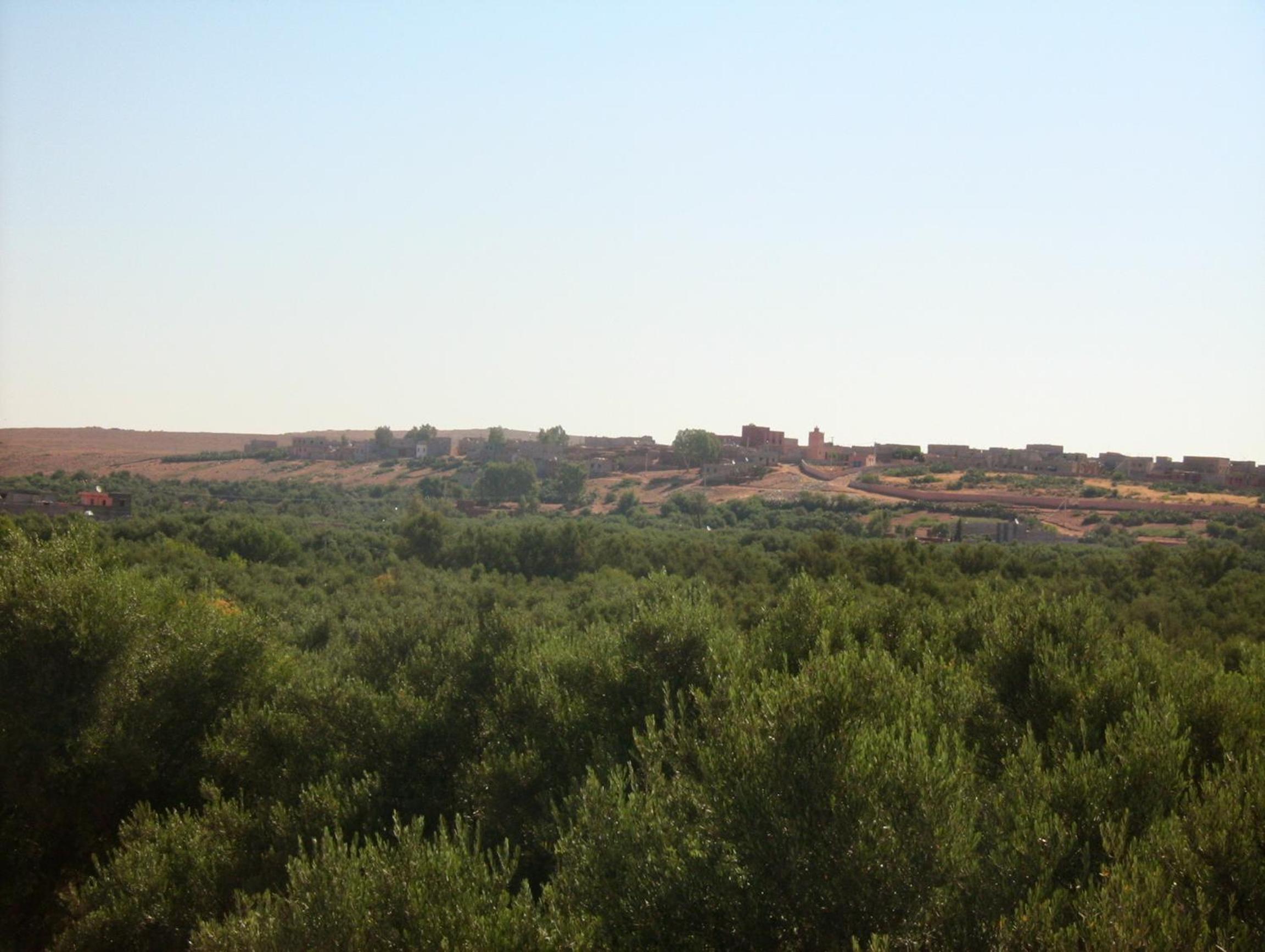 Photo 22