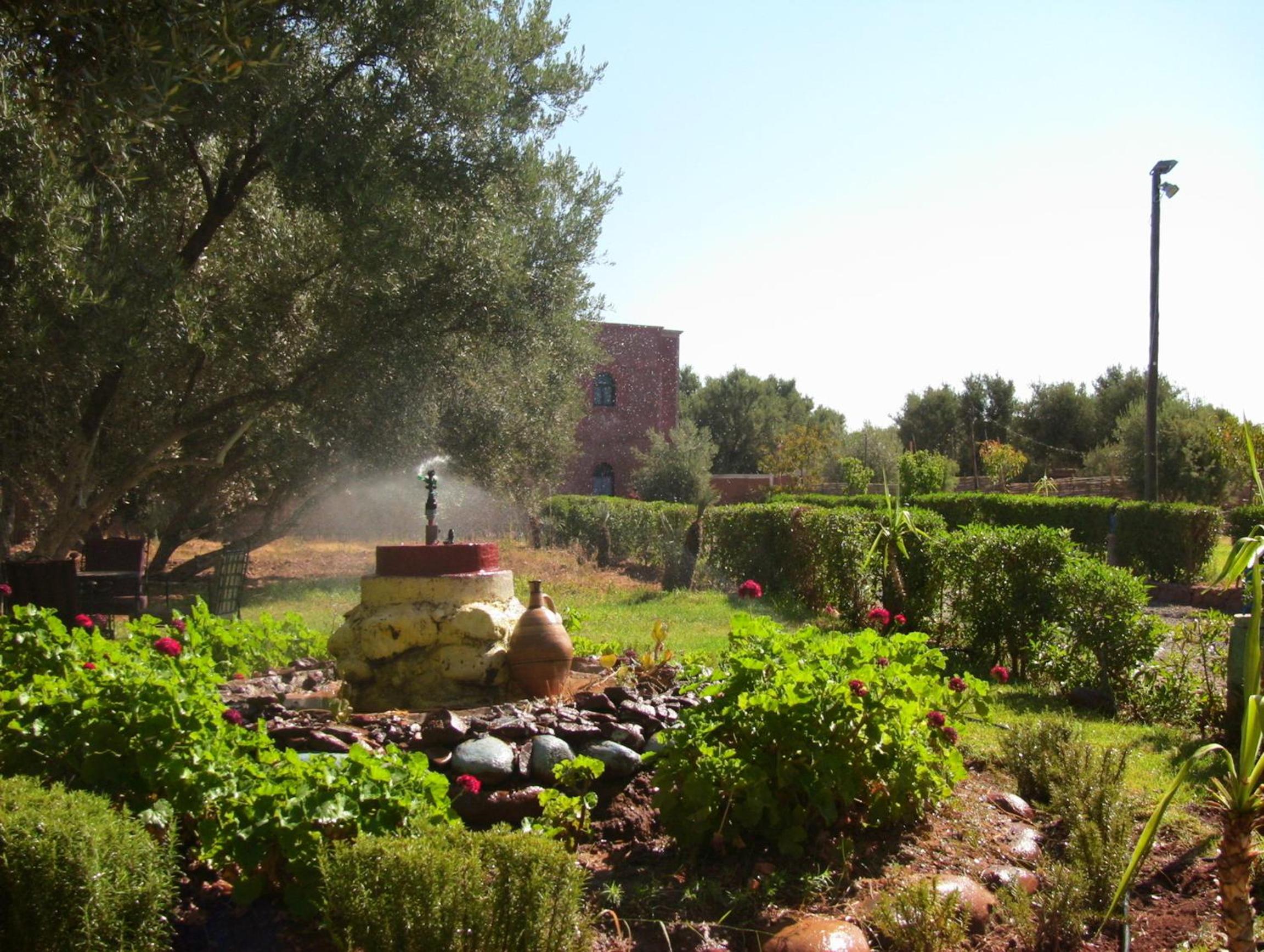 Photo 23