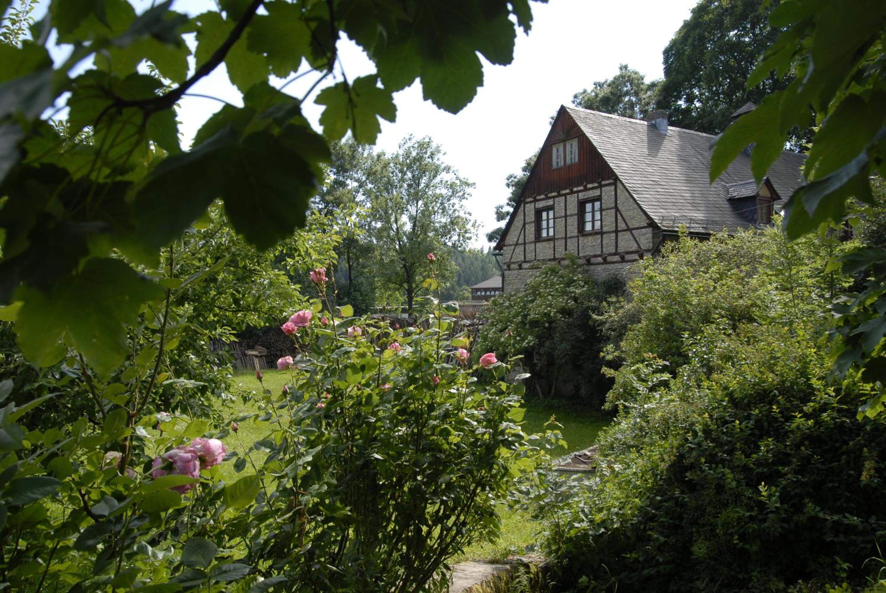 Photo 22