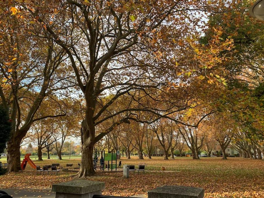Photo 31